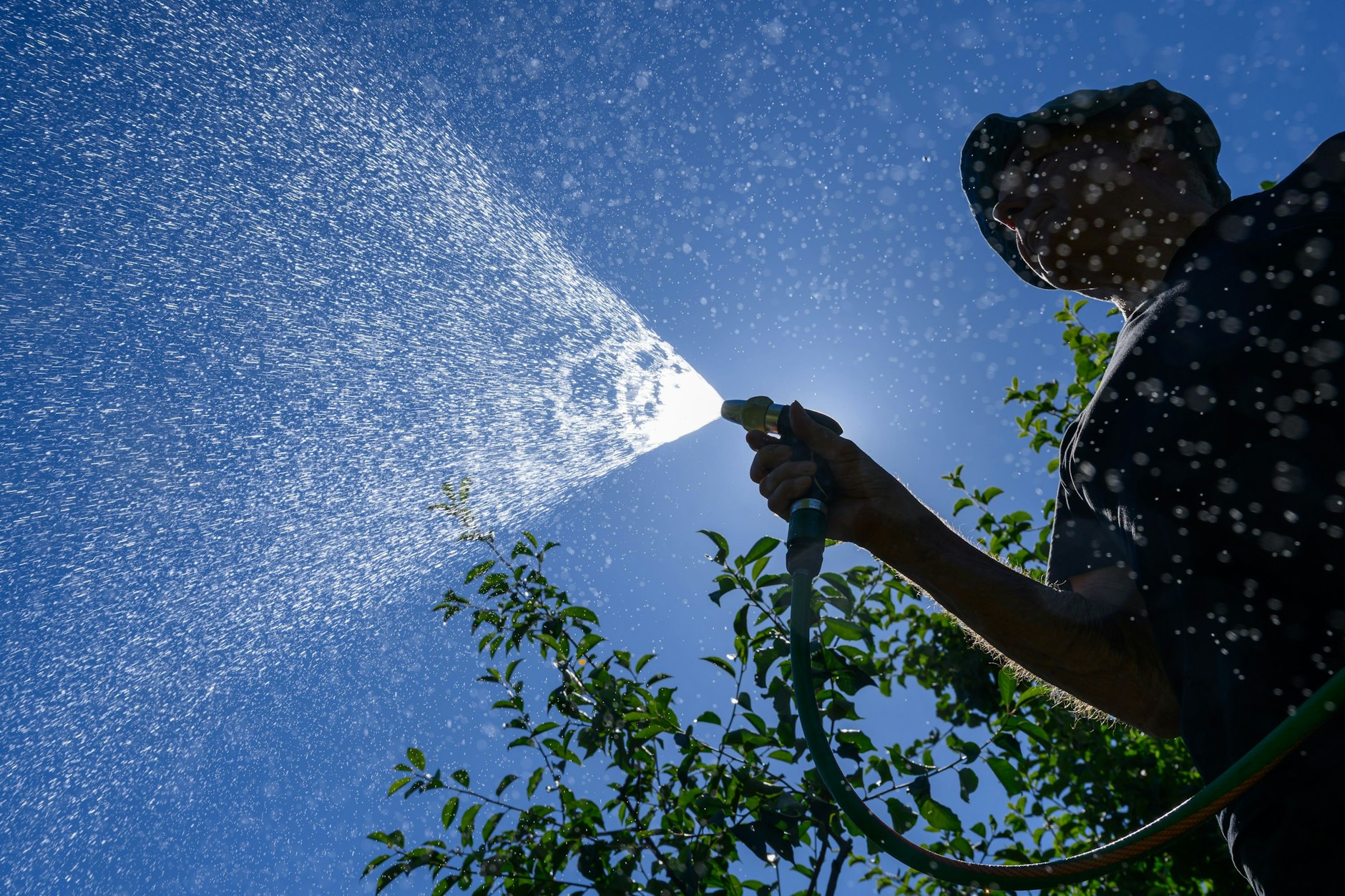 Es gibt immer was zu tun im Garten. Immer!