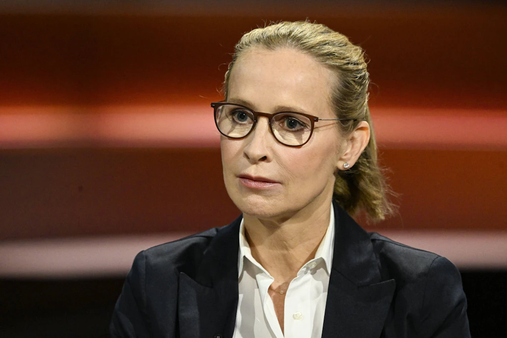 Rechtswissenschaftler änderte Wikipedia-Eintrag von Brosius-Gersdorf zum Thema Abtreibung