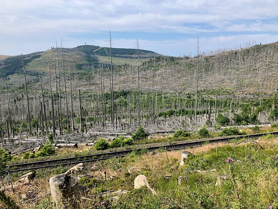 Deutsche Zustände: freier Blick auf den Brocken – weil der Wald tot ist.