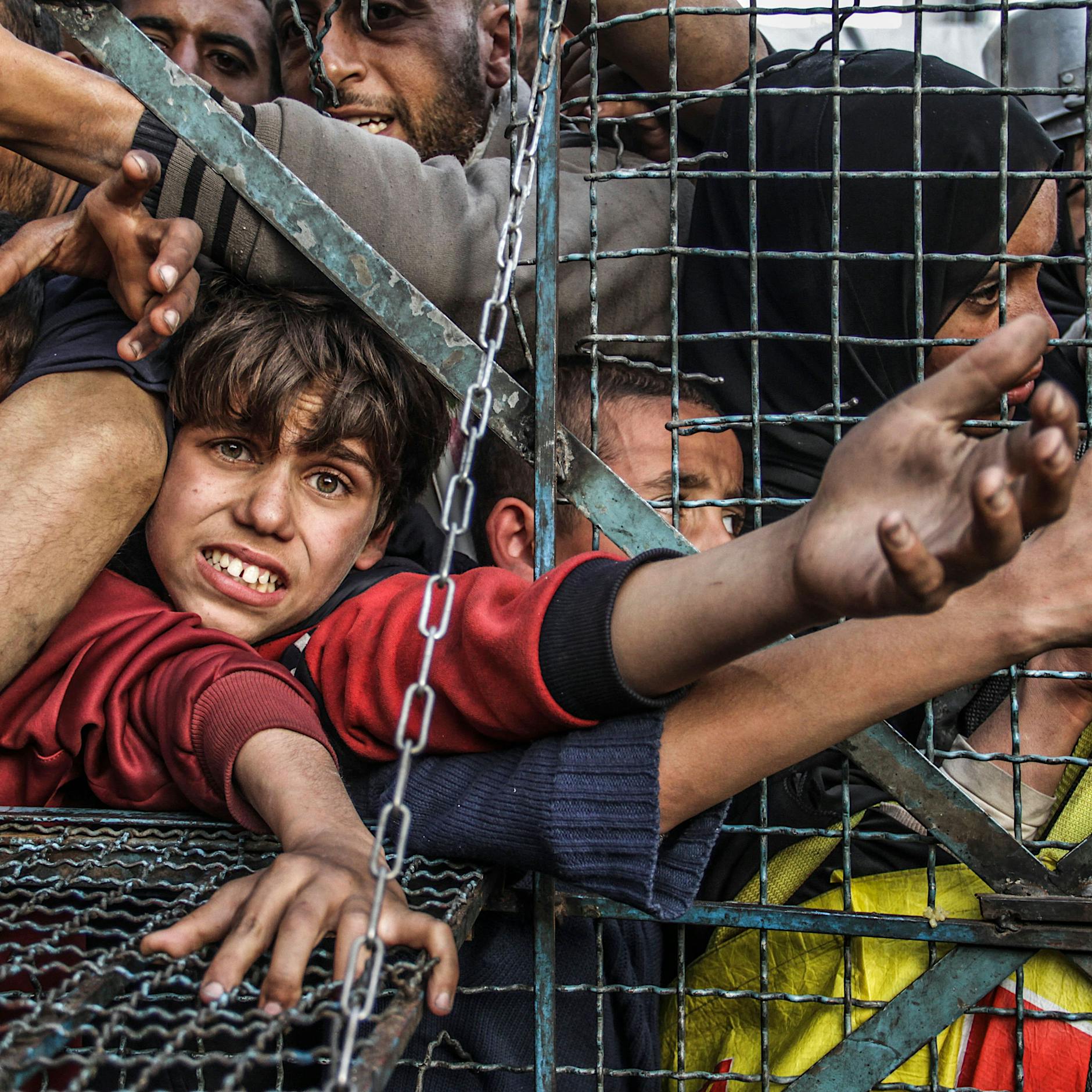 EU-Abgeordnete an Bord der Freedom Flotilla: „In Gaza eskaliert die Hungersnot – und Europa versagt“