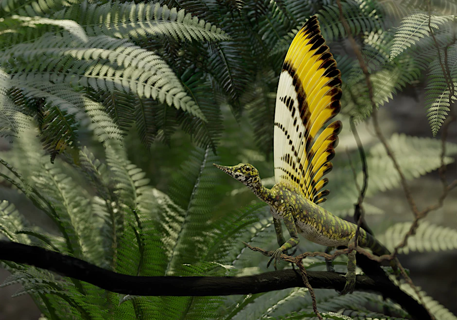 Eine grafische Darstellung von Mirasaura grauvogeli.