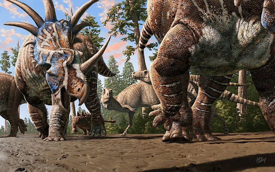Verschiedenste Saurier in einem alten Flusskanal. Vorne: Saurier aus der Art der Ceratopsia <em>(Styracosaurus albertensis)</em>, hinten&nbsp;– mit der stachelartigen Panzerung – ein Ankylosaurier <em>(Euplocephalus tutus)</em>. Beobachtet werden sie von zwei Tyrannosauriern <em>(Gorgosaurus libratus)</em>.