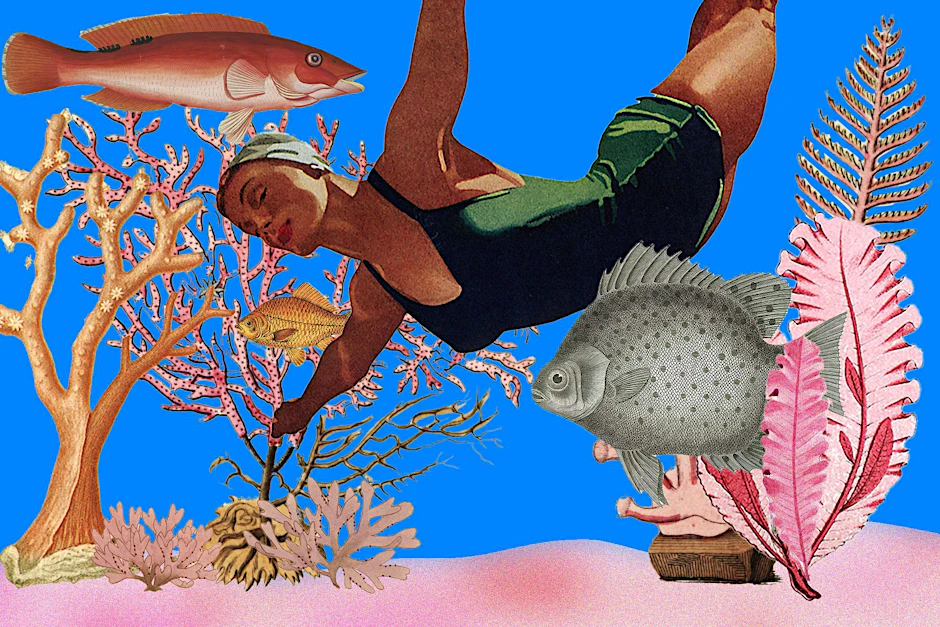 Algen gehören zu maritimen Ökosystemen dazu, ebenso wie Fische und Seegras.
