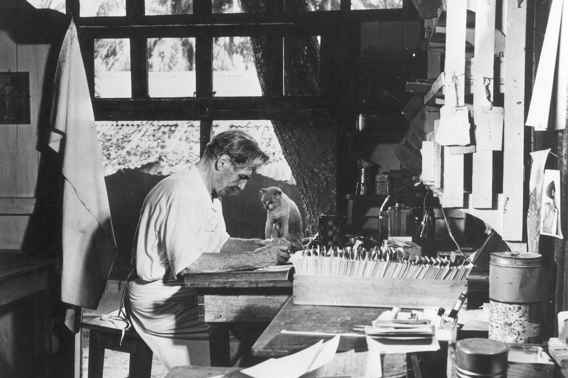 Albert Schweitzer in seinem Büro in Lambarene in Französisch Äquatorialafrika, dem heutigen Gabun