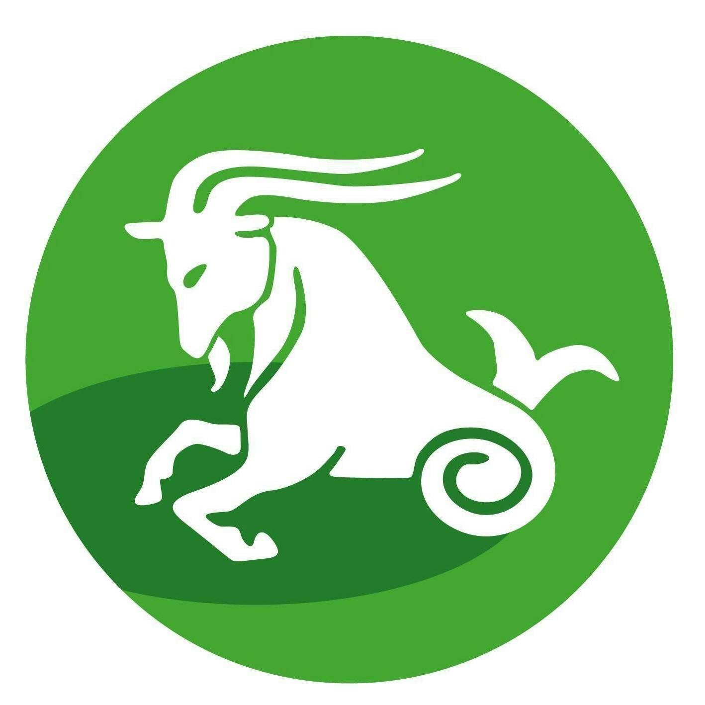 Sternzeichen Steinbock (22. Dezember bis 20. Januar)