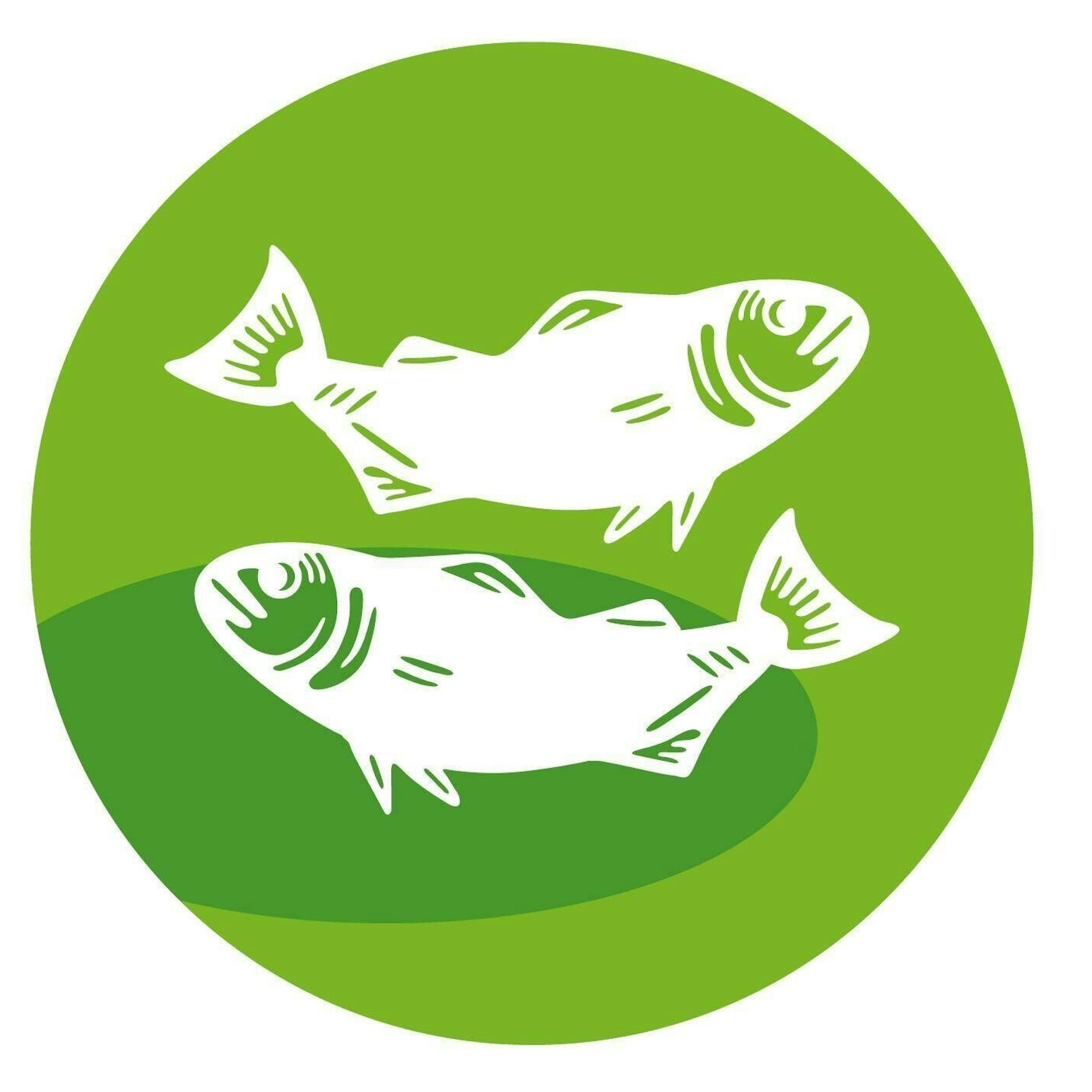 Sternzeichen Fische (20. Februar bis 20. März)