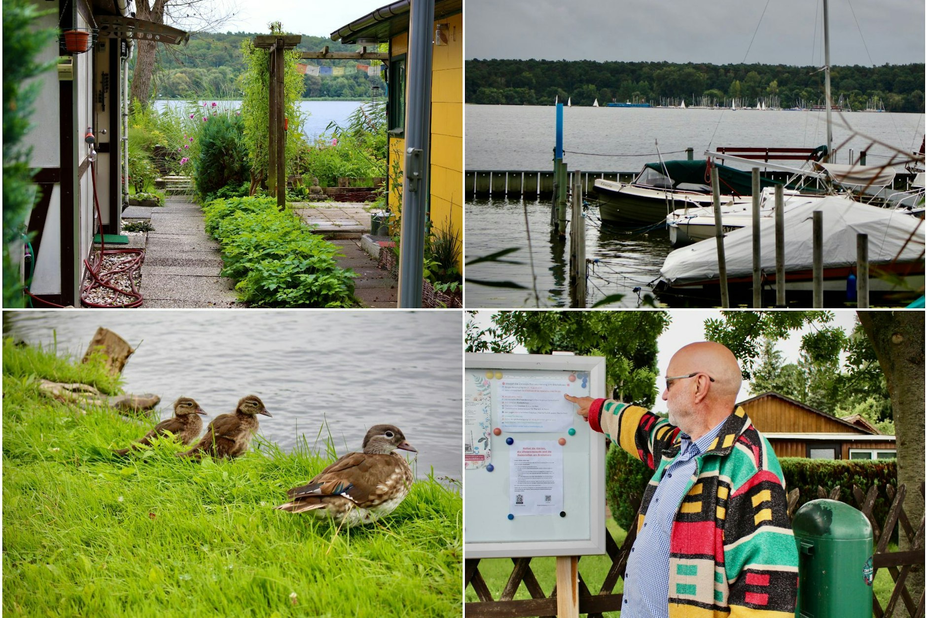 Die Lauben am Breitehorn sind ein von vielen Berlinern geschätzter Ort der Erholung. Zwischen Havelufer, alten Bäumen und&nbsp; reicher Tier- und Pflanzenwelt hat sich über Jahrzehnte eine naturnahe Idylle entwickelt.