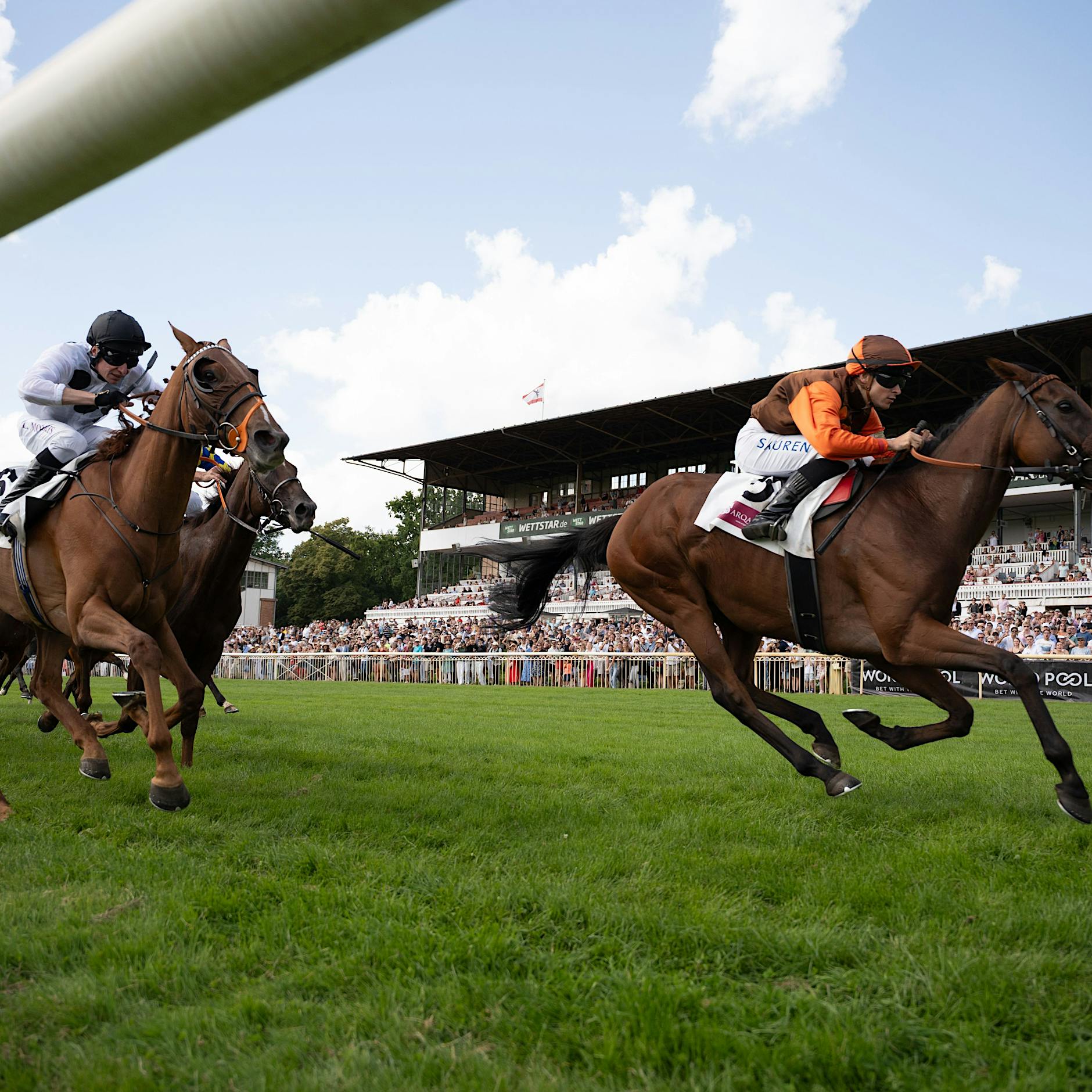 Mit Königspudel und breiter Krempe in Hoppegarten: Berlin hat sich fein gemacht