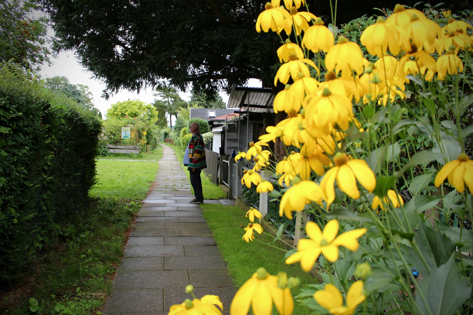 Blick in die Laubensiedlung Breitehorn