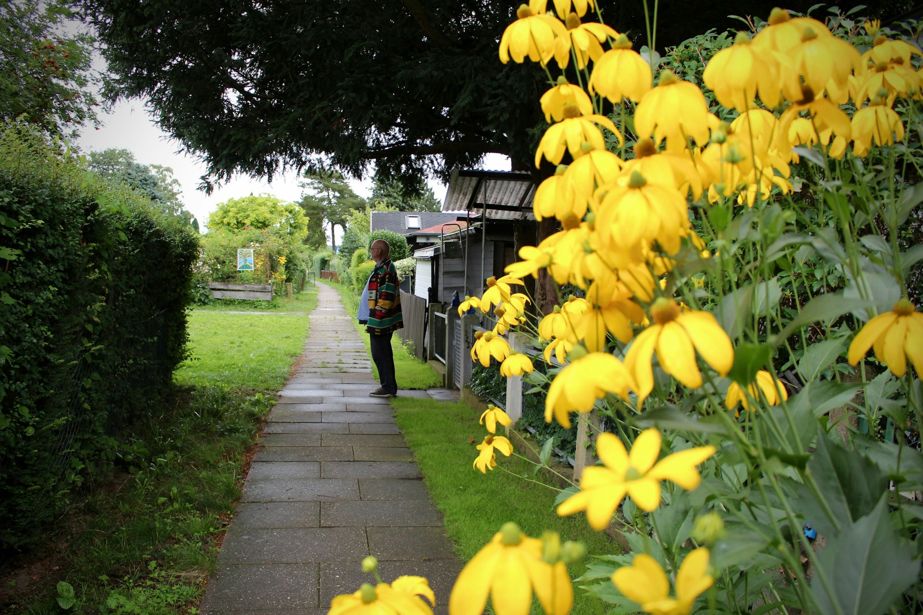 Blick in die Laubensiedlung Breitehorn
