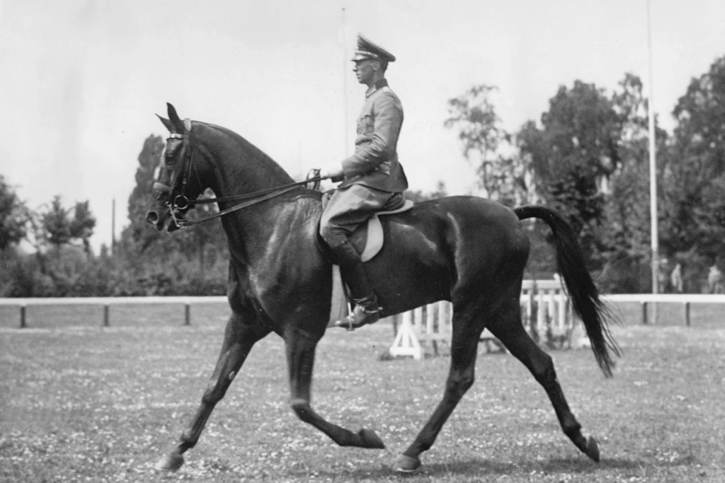 Ein Oberleutnant der Wehrmacht beim Training der Dressur