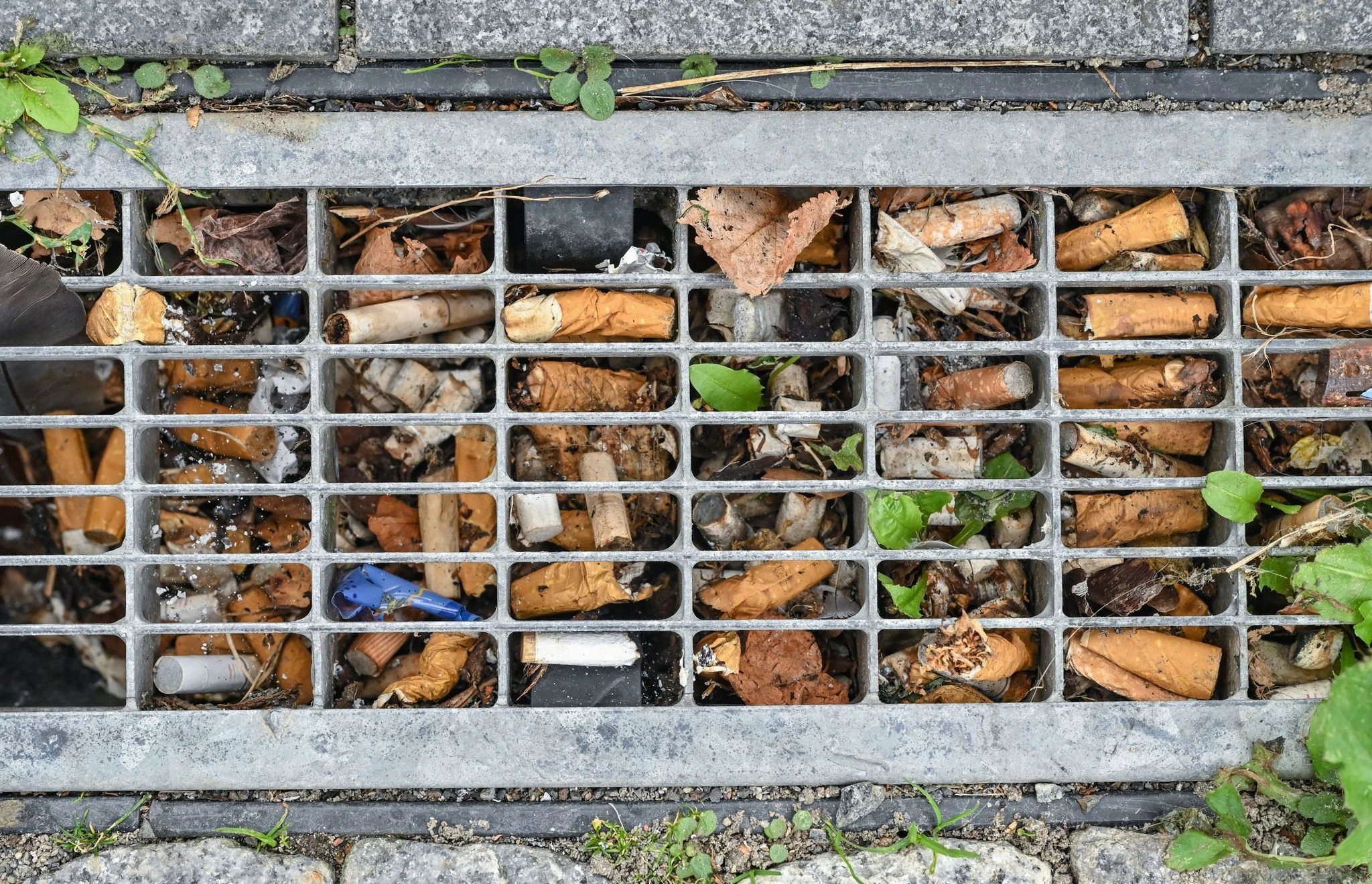 Neue Mll-Bugelder in Berlin: Zigarettenkippen wegwerfen kostet knftig  250 Euro