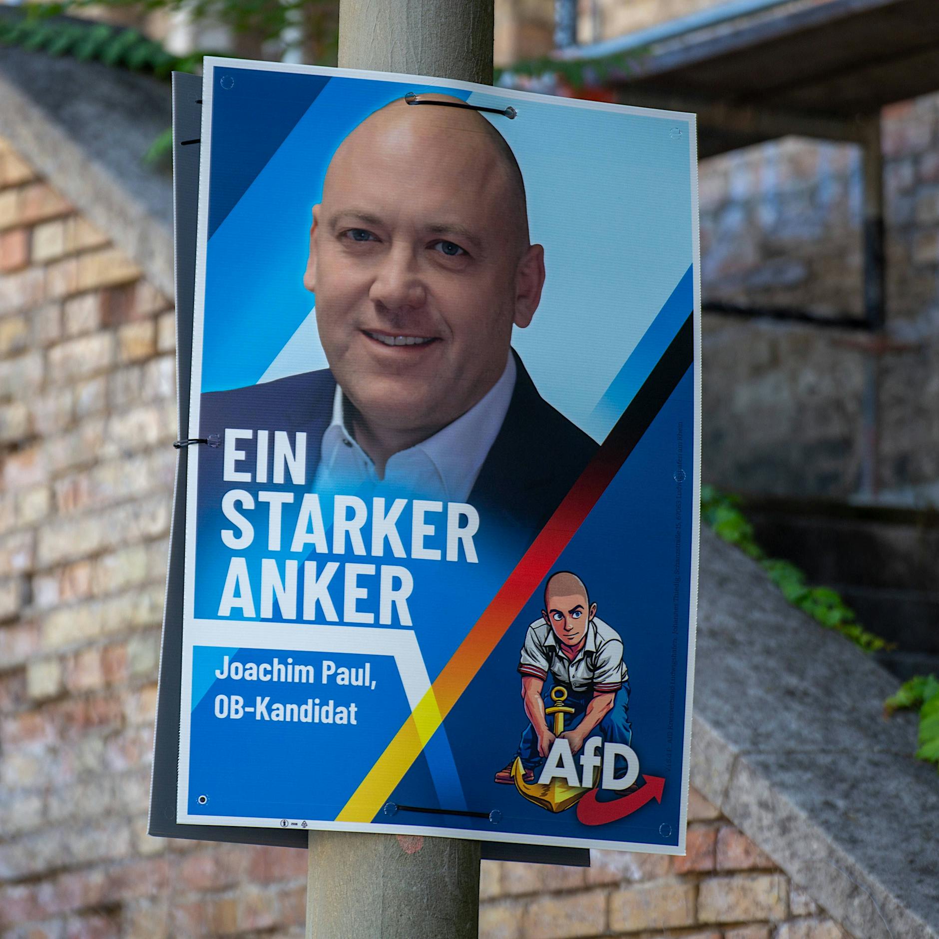 „Starker Eingriff in die demokratischen Rechte“: Verfassungsrechtler zur AfD-Causa Ludwigshafen