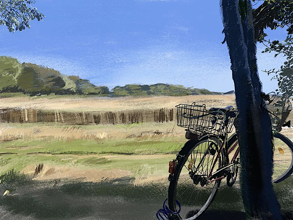 Ein Fahrrad lehnt neben einem Feld an einem Baum. Verliert Ostdeutschland seinen Reiz bei Touristen?