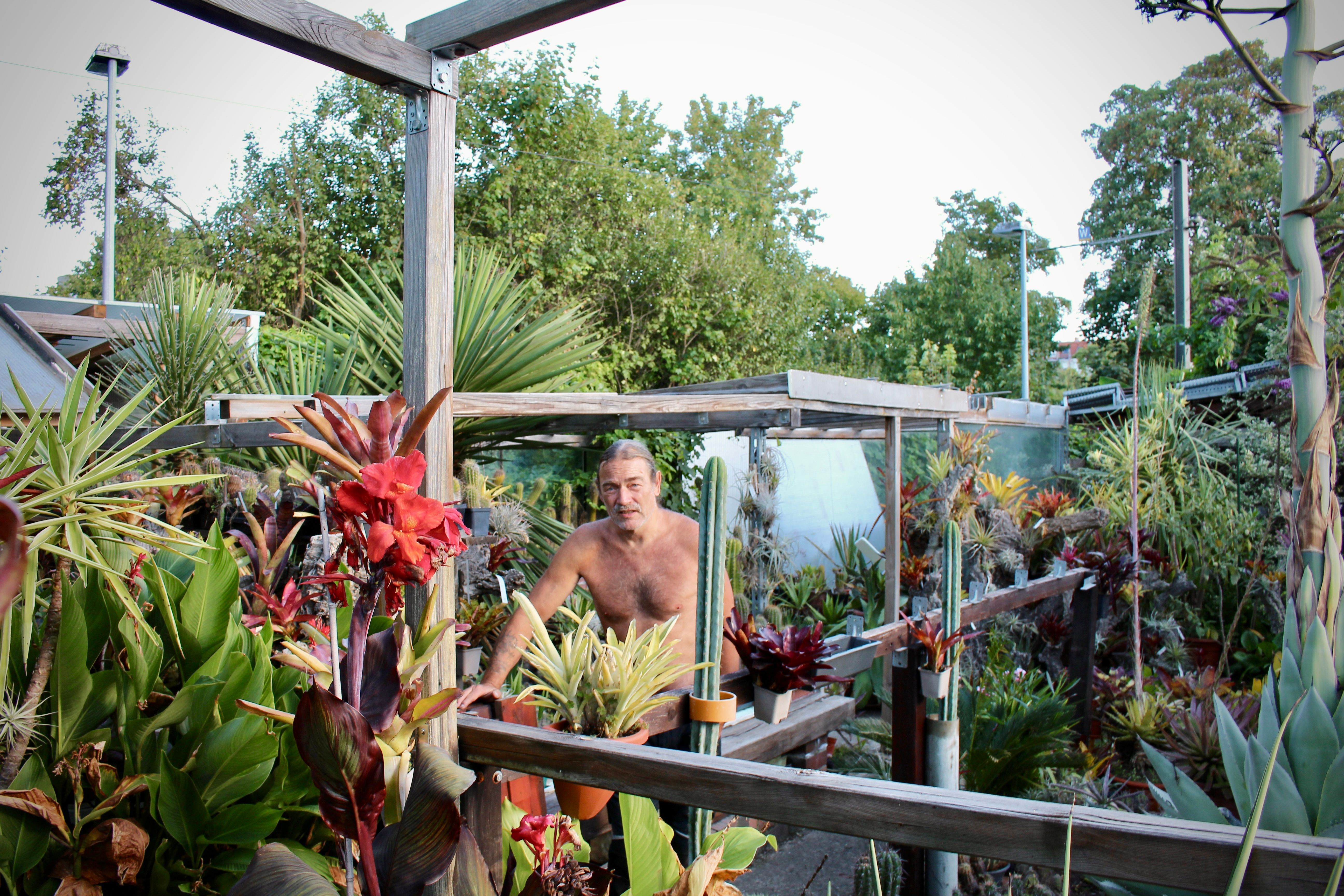 Tausende Kakteen im Kleingarten: Hajo ist der Kaktus-Star von Bornholm