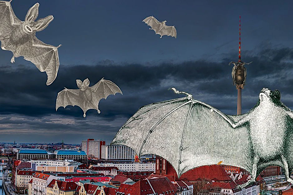 Auch in Berlin: Am letzten Augustwochenende findet die internationale Fledermausnacht statt.