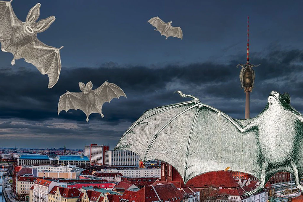 Fledermaus-Hauptstadt: So lassen sich die Tiere in Berlin beobachten – und retten
