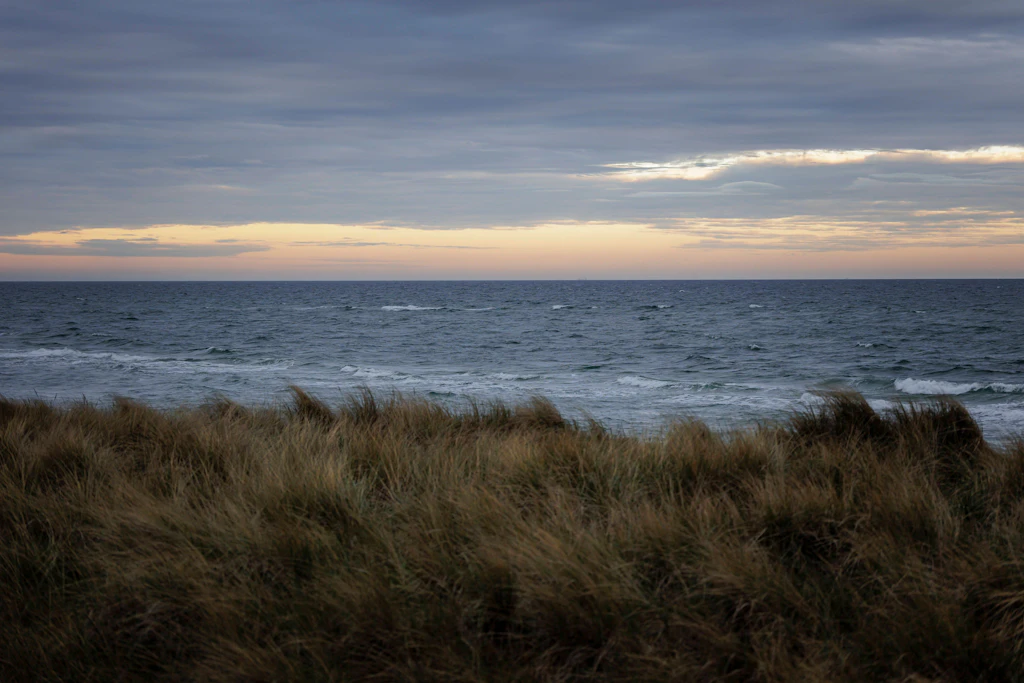 Wellen der Ostsee treffen am frühen Morgen auf den Weststrand der Halbinsel Darß. Natur und Tiere leiden bereits unter dem Tourismus.
