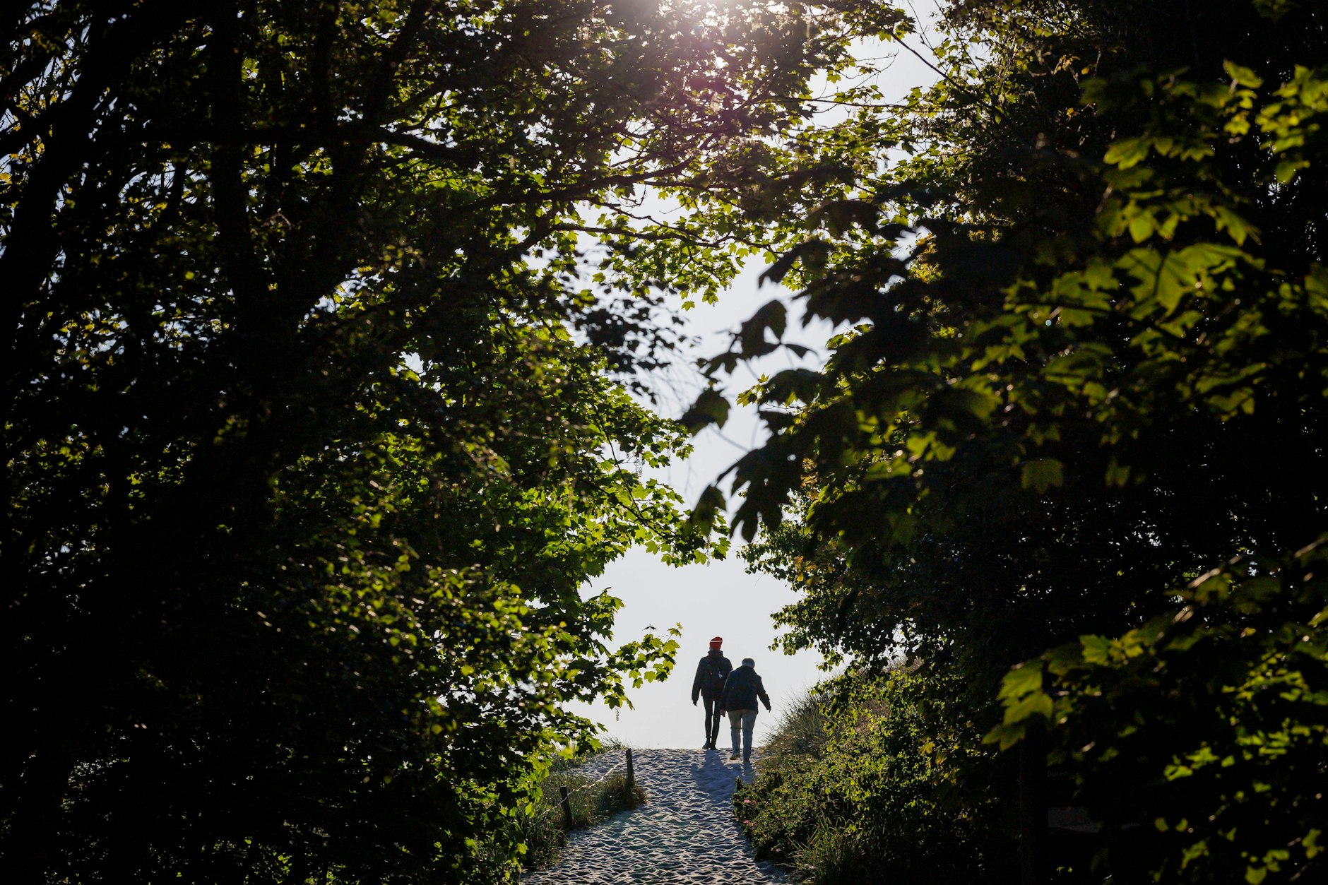 So idyllisch ist die Natur auf Fischland-Darß, doch immer häufiger ist sie von Touristen überfüllt.