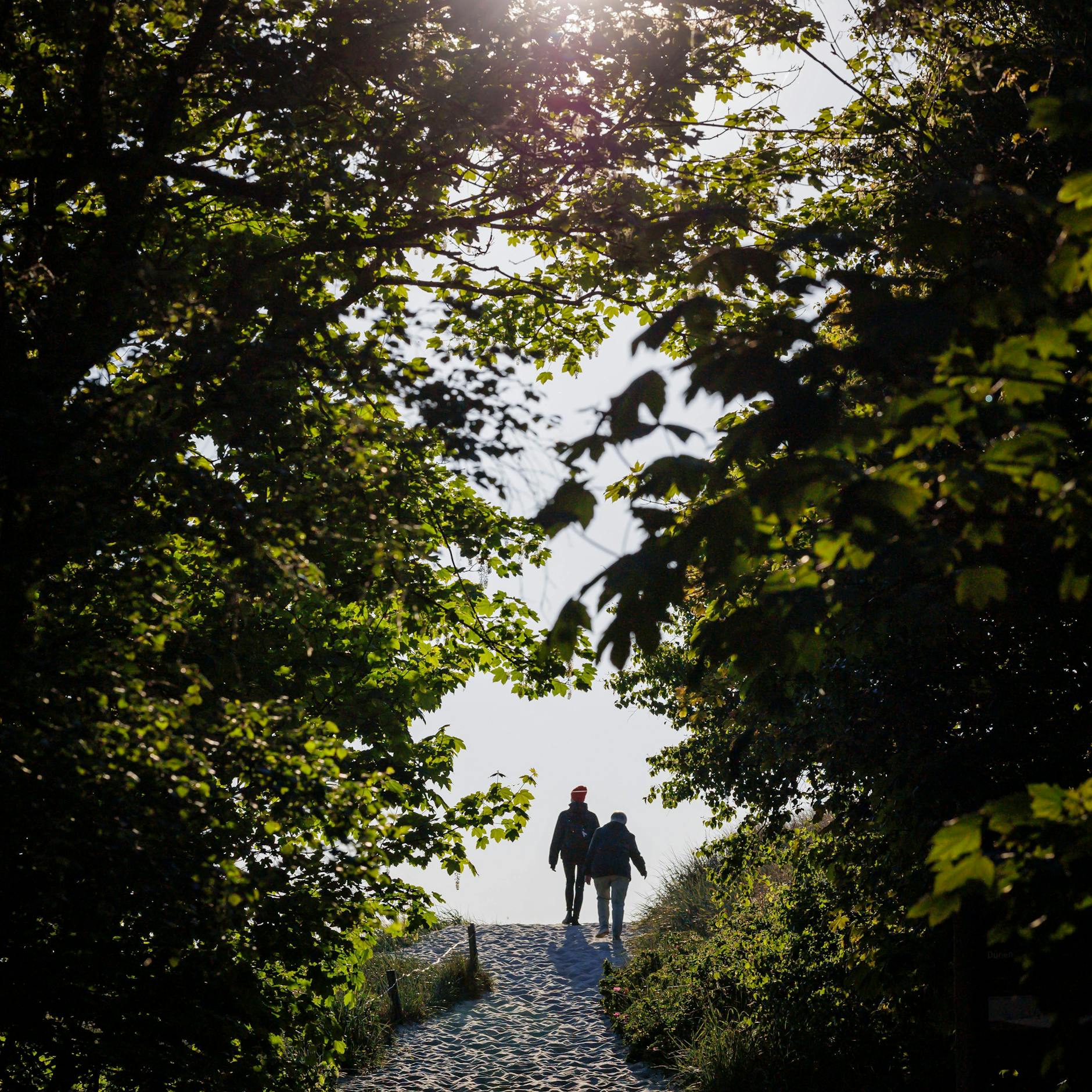 Image - Ostsee: Ballermann auf Fischland-Darß? Die Angst vor Übertourismus