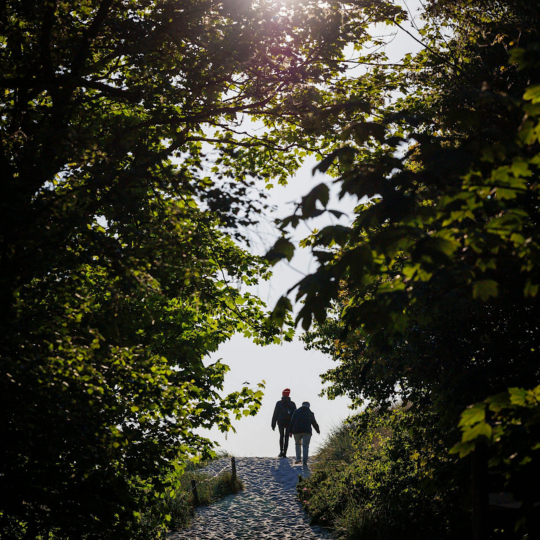 Ostsee: Ballermann auf Fischland-Darß? Die Angst vor Übertourismus
