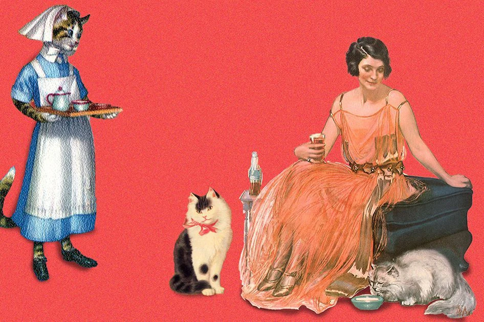 Gemütliche Katzencafés in Berlin: Wo geschlürft und geschmust werden kann