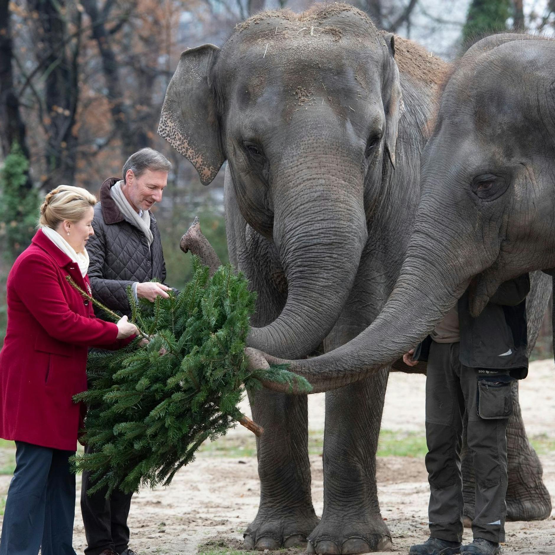 Image - Schaffen wir das? Die rasant durchdachte Politiksatire „Das Geschenk“ von Gaea Schoeters
