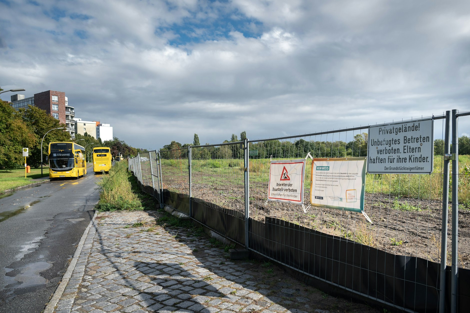 Nichts geht mehr: Auf einem Baufeld in Lichterfelde Süd wurde eine seltene Ameisen-Art gefunden, was zu einem Stopp eines Bauprojekts führte.