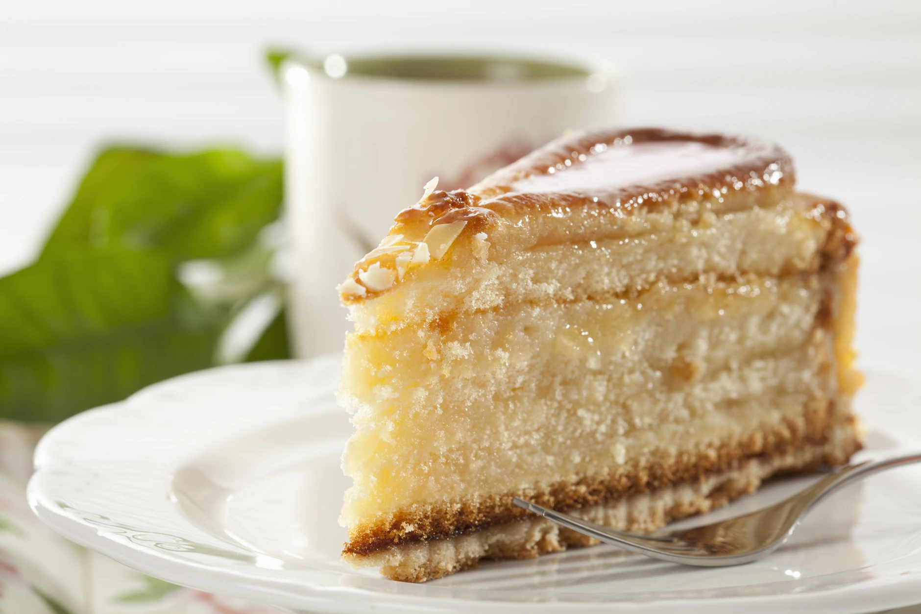 mailänder makronentorte das große backen rezept