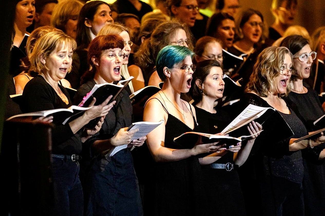 Das Singen zu studieren ist das Motto, daher heißt der Chor Studiosi Cantandi.