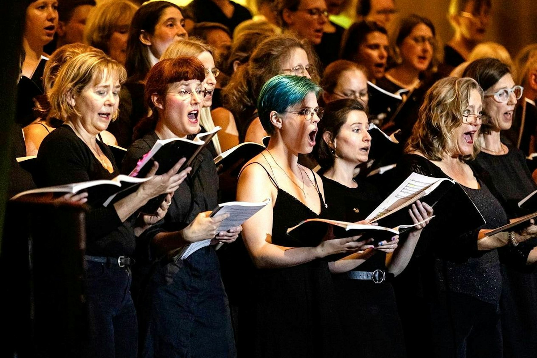 Das Singen zu studieren ist das Motto, daher heißt der Chor Studiosi Cantandi.