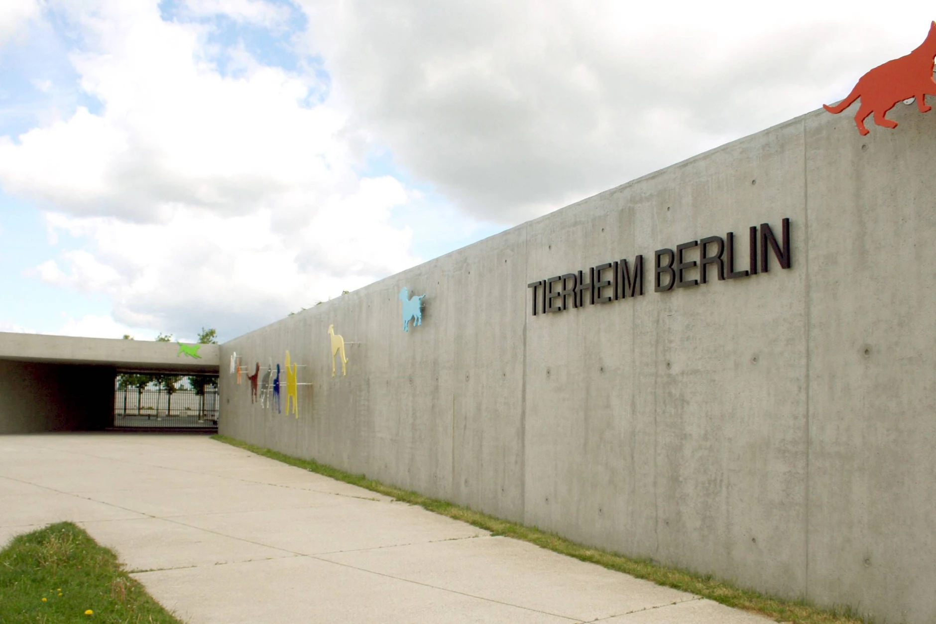 Im Tierheim Berlin wartet noch eine Bulldogge auf die Vermittlung.
