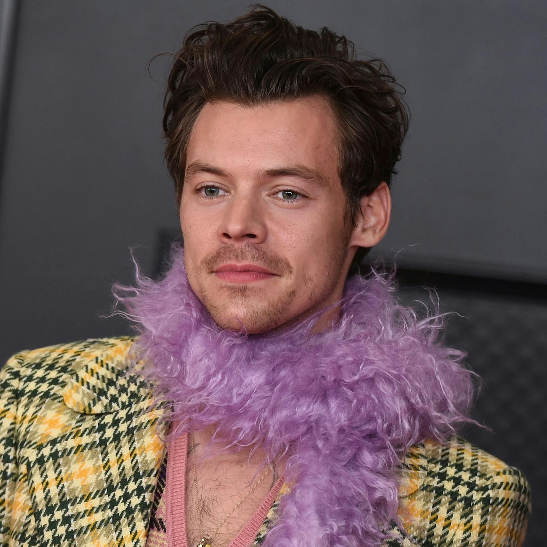 Image - Harry Styles ist wieder in Berlin – diesmal vertraut mit Zoë Kravitz