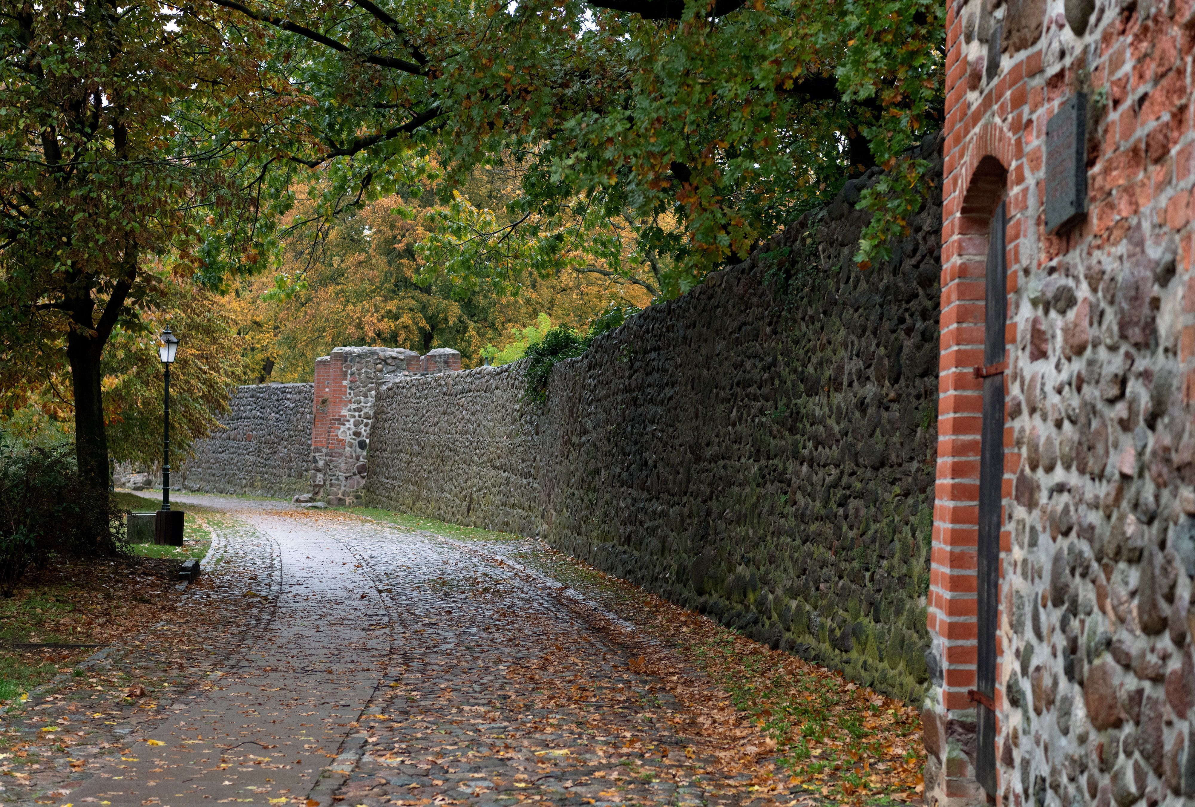 Image - Leiche in Stadtpark von Bernau gefunden
