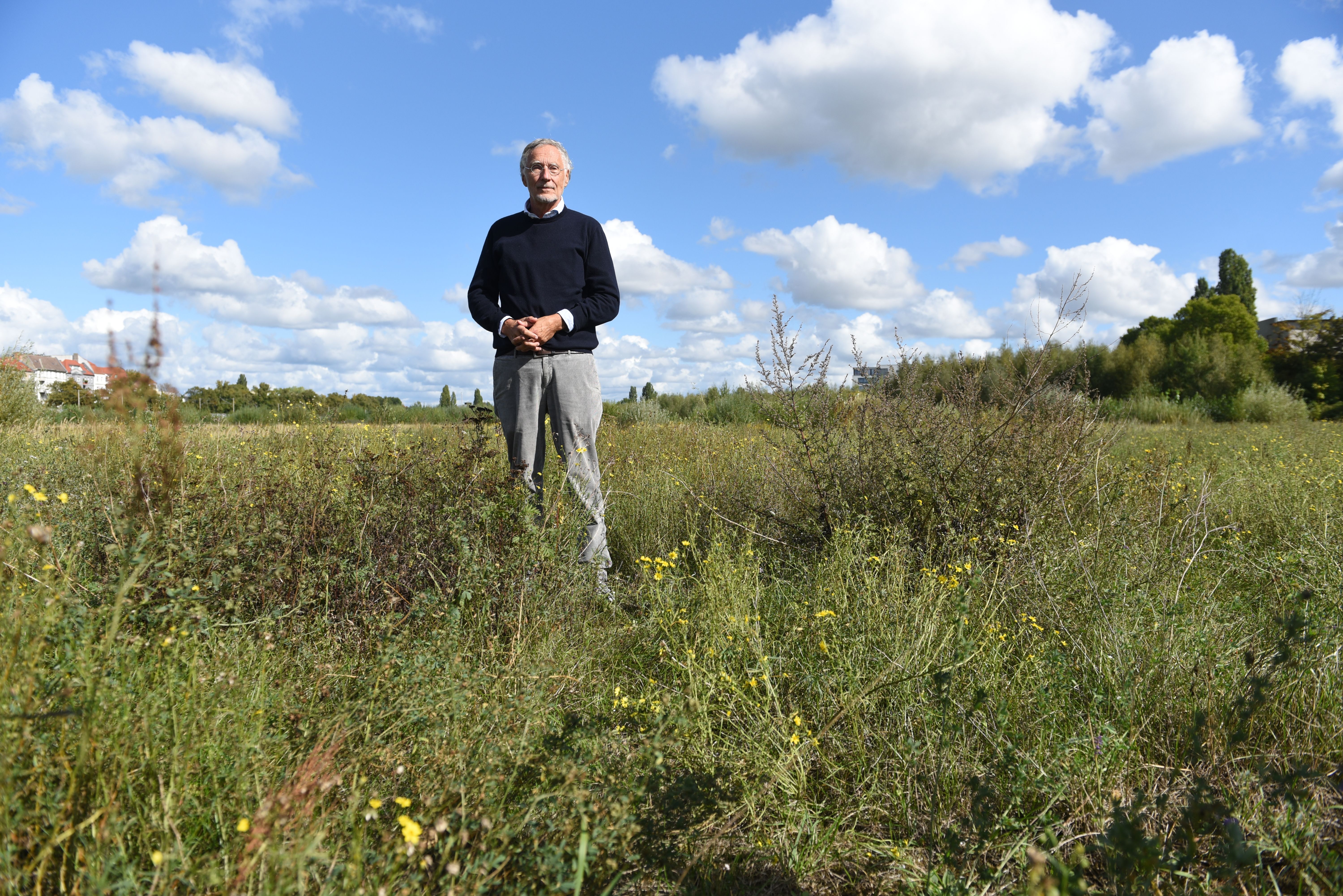 Artenschutz oder Wohnungsbau? Wie die Kreuzkröte den Investor verfolgt