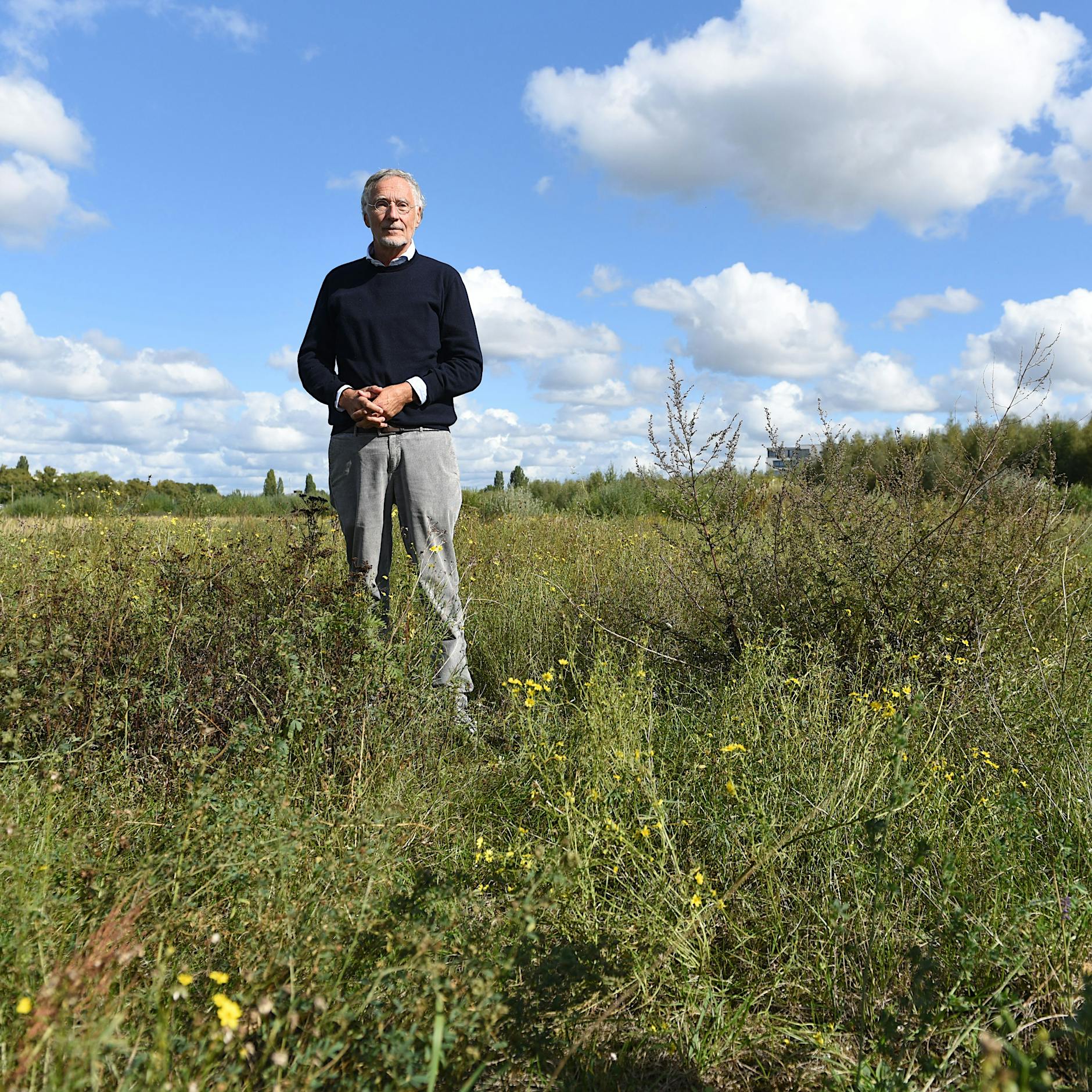 Artenschutz oder Wohnungsbau? Wie die Kreuzkröte den Investor verfolgt