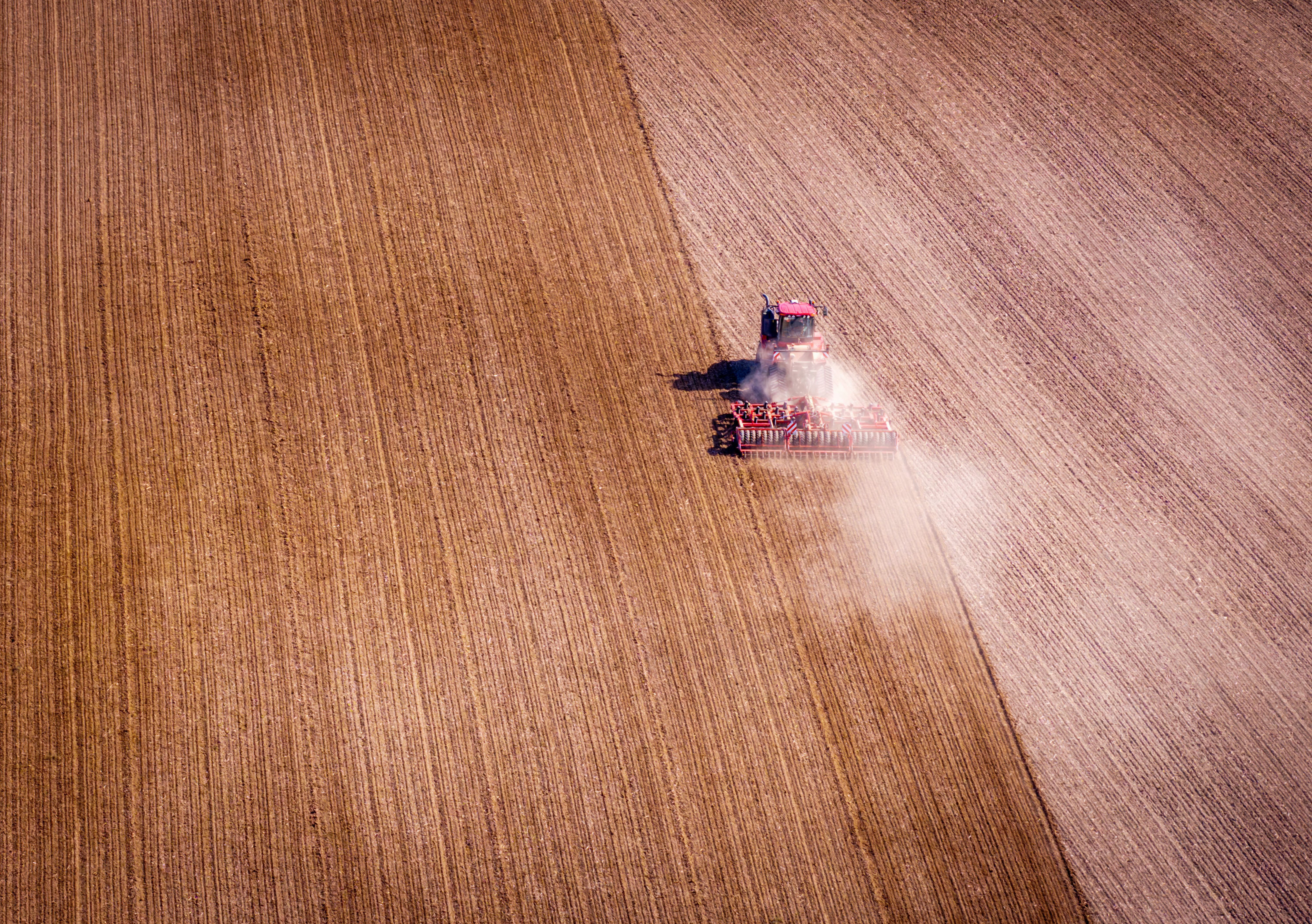 Ausland kauft Deutschlands Agrarflächen auf: „Selbst DDR-Riesen werden zu Zwergen“