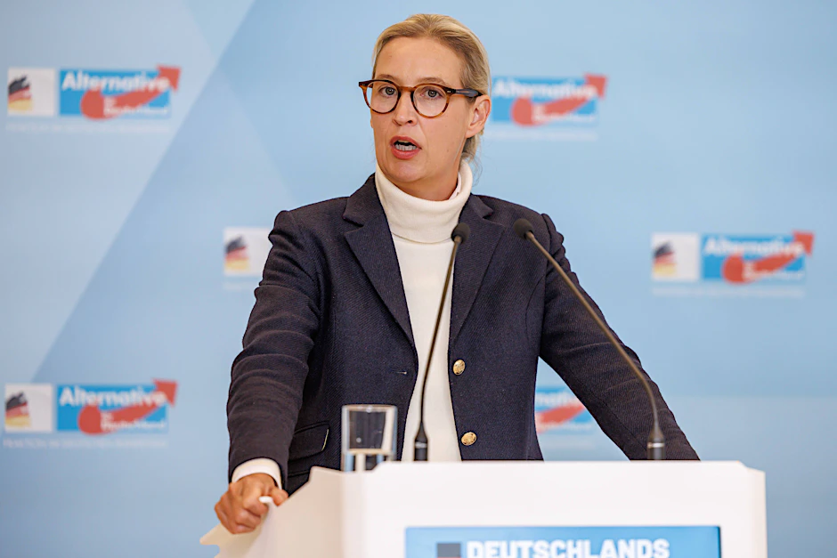 Alice Weidel: Ihre Partei setzt in sozialen Netzwerken stark auf das Thema Migration und erzielt damit besonders bei jungen Nutzerinnen und Nutzern hohe Reichweiten.