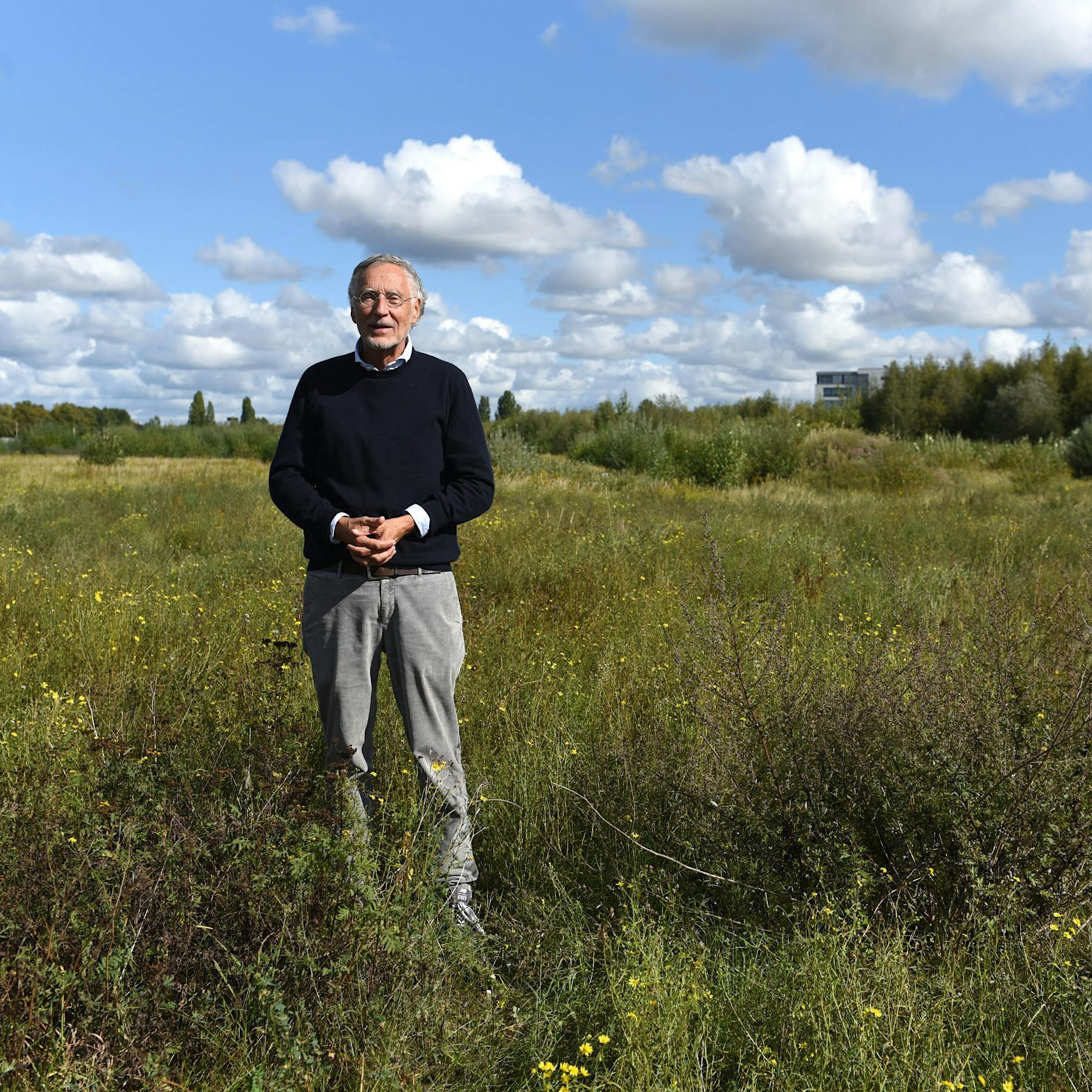 Pankower Tor: Wie Kreuzkröten einem Milliardenprojekt im Weg stehen