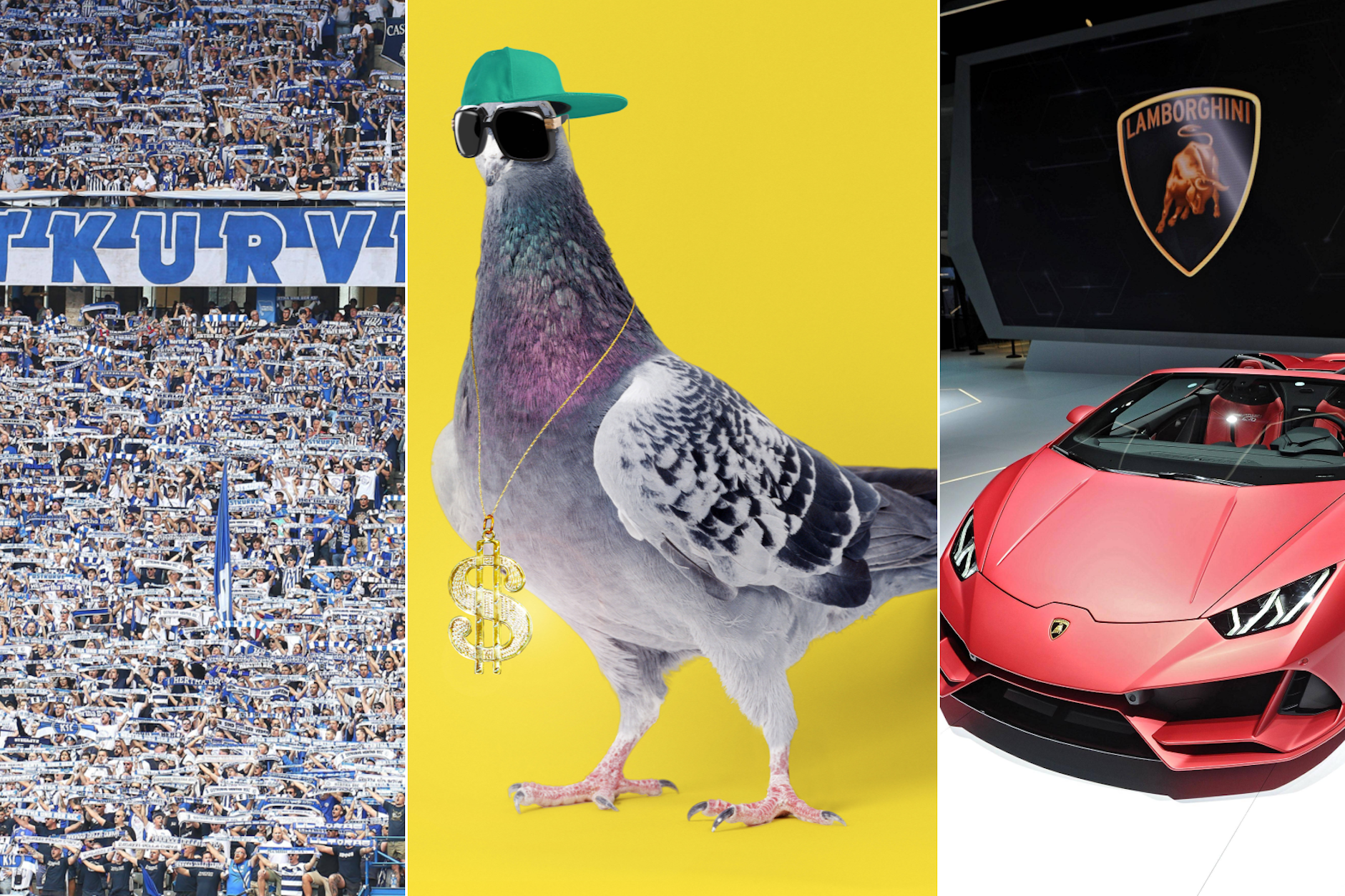 Das sind drei Möglichkeiten, was Sie mit 120 Millionen alles anfangen können: Die Ostkurve im Olympiastadion für Jahre in Beschlag nehmen, Tauben behüten und Lambos für die ganze Straße kaufen. 