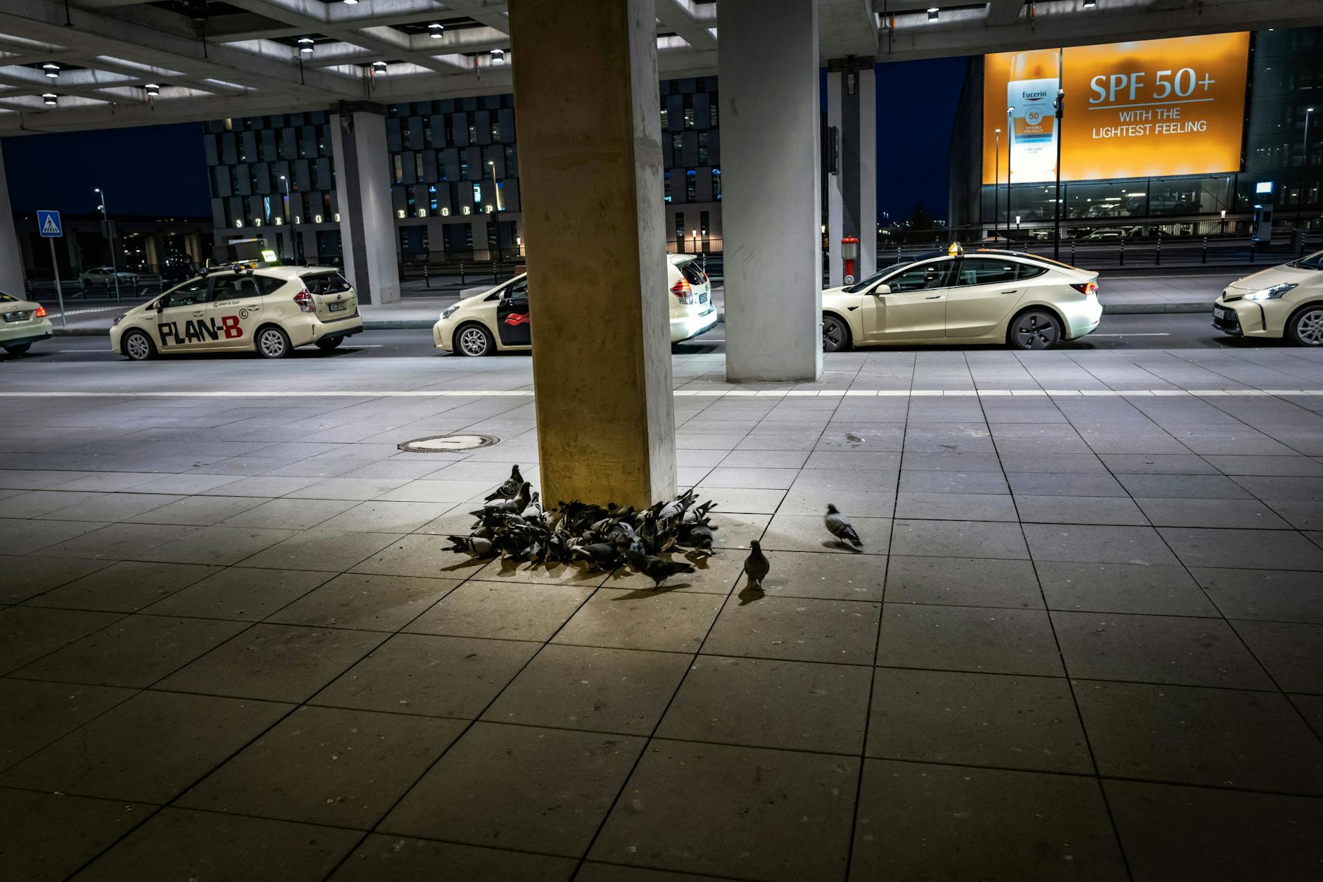 Tauben sind im Taxibereich des BER seit geraumer Zeit ein Problem. Ein Bild von 2023 zeigt eine kleine Gruppe im Abflugsbereich.