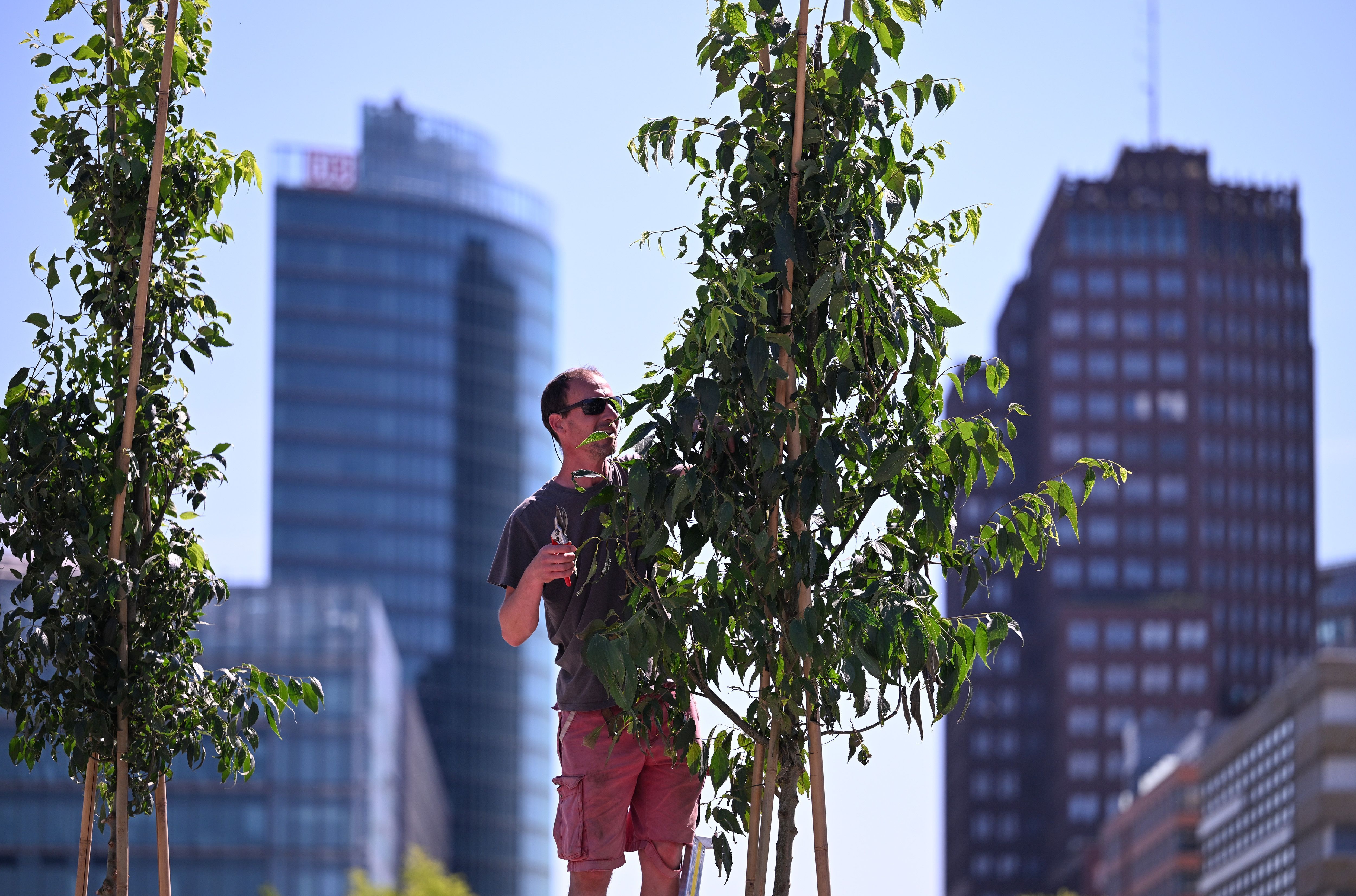 Grüne: Die Wegner-Koalition kettet sich wie die heilige Theresa vor jeden Parkplatz