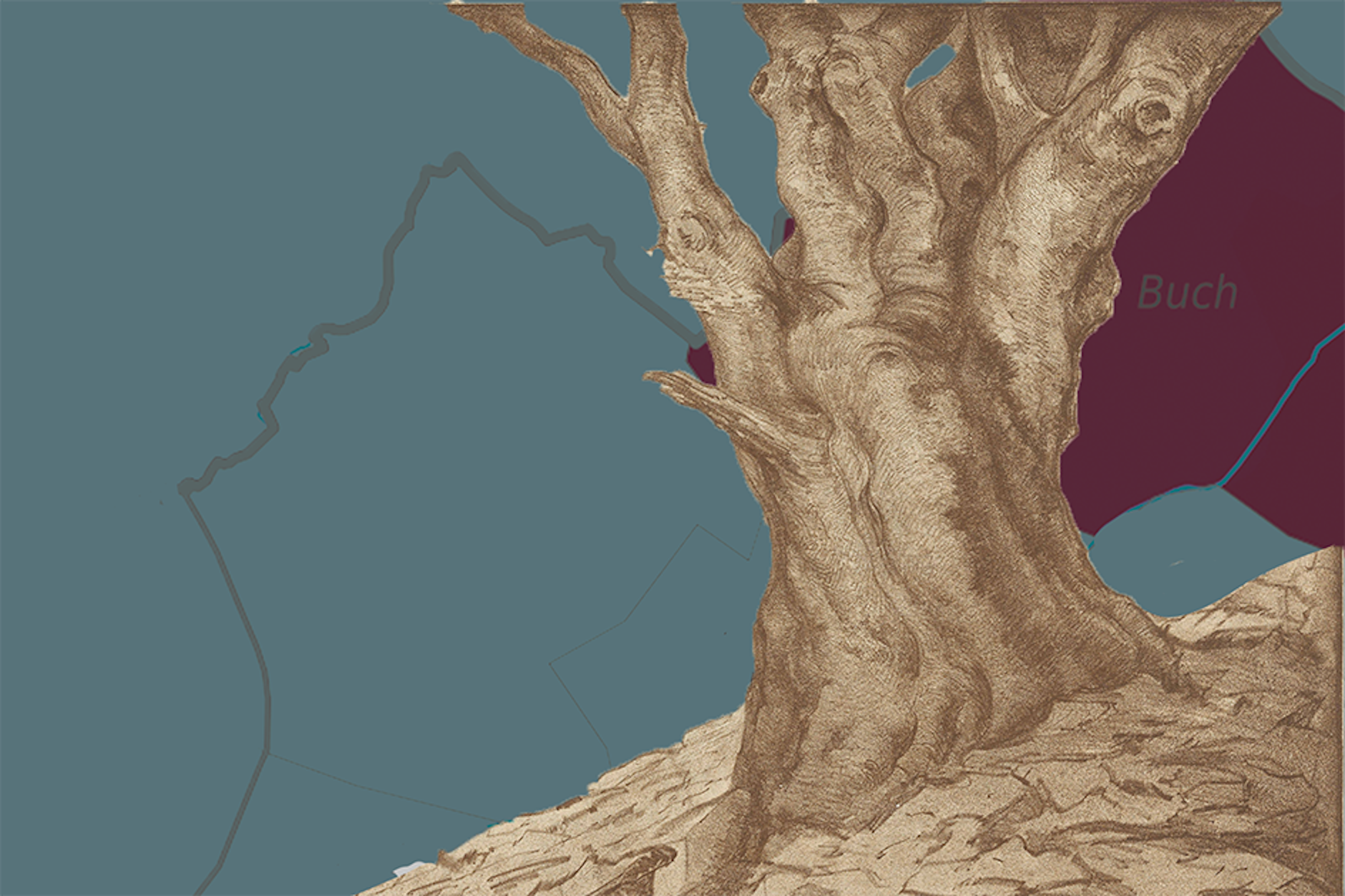 Der Pankower Ortsteil Buch ist sehr grün: Es gibt Parks, Wälder, alte Baumbestände – und die Panke.