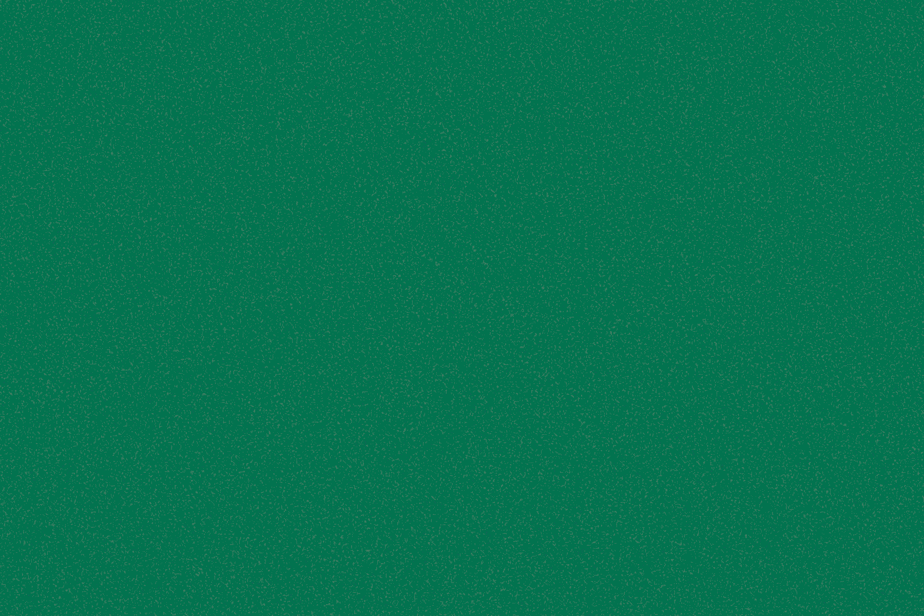 Image - Pilz-Influencer Tristan Jurisch: „Brandenburgs Wälder bekommen leider nur eine 7 von 10“