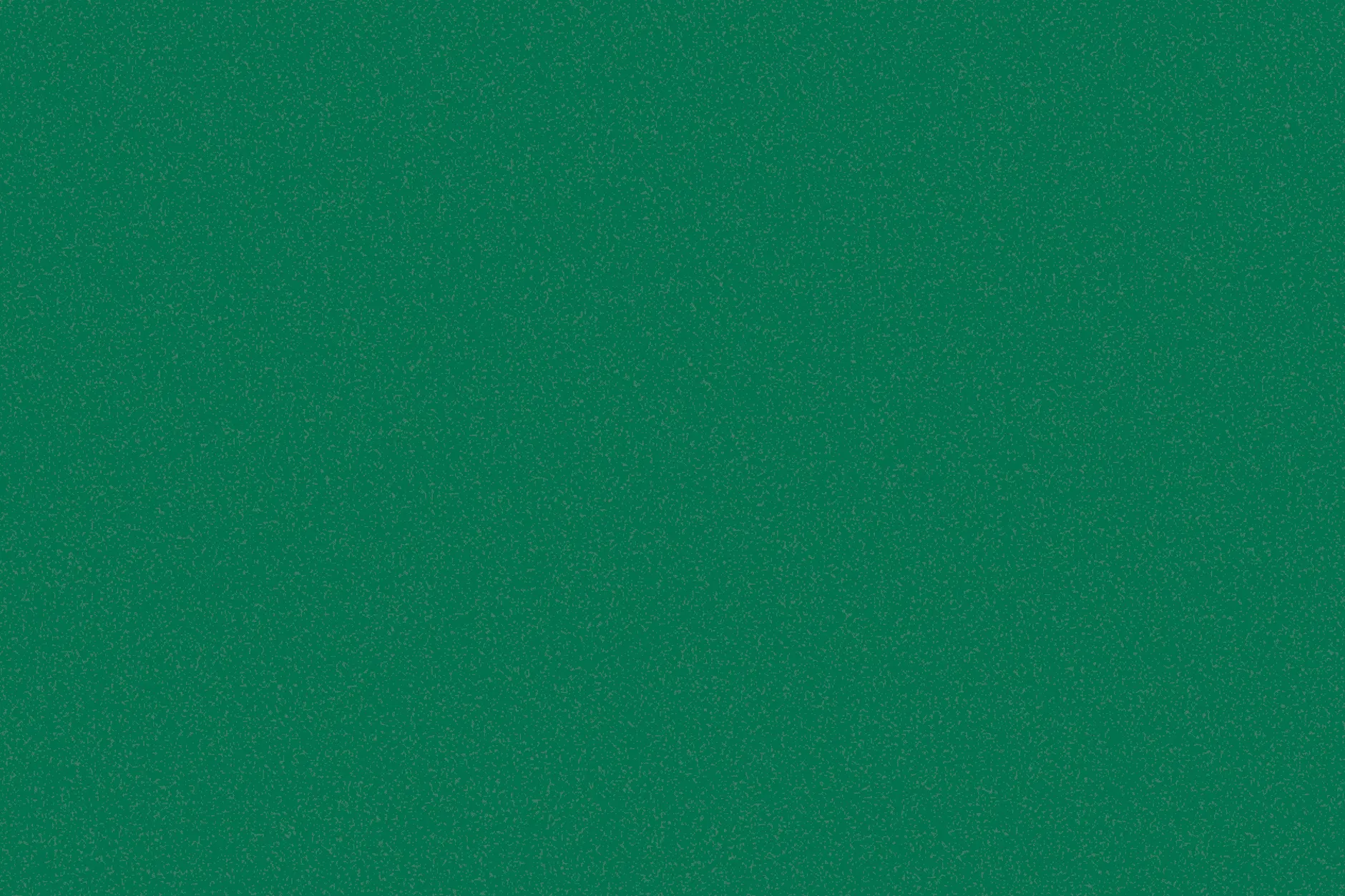 Hier in all ihrer Schönheit zu sehen: die Lieblingspilze von Tristan Jurisch