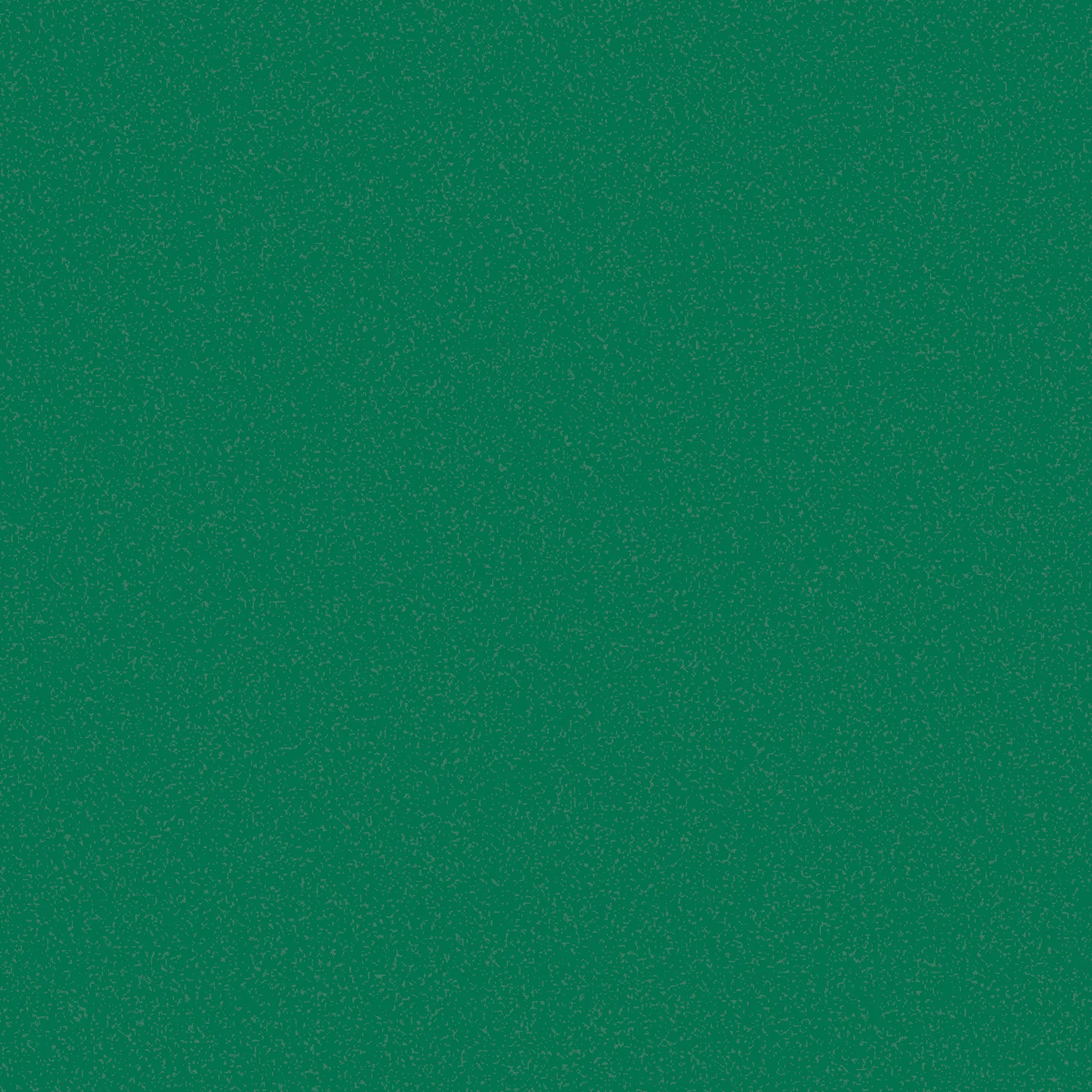 Image - Pilz-Influencer Tristan Jurisch: „Brandenburgs Wälder bekommen leider nur eine 7 von 10“