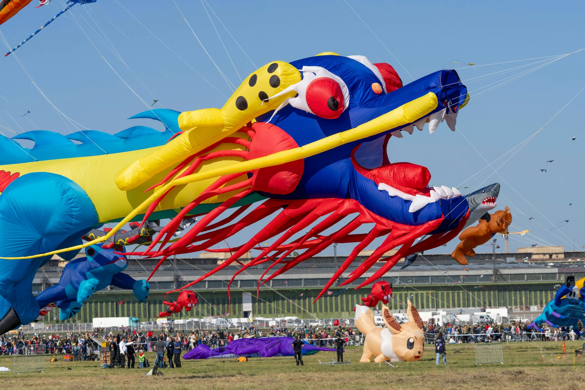 Etliche Riesendrachen erhoben sich am Samstag in den Himmel über dem Tempelhofer Feld.