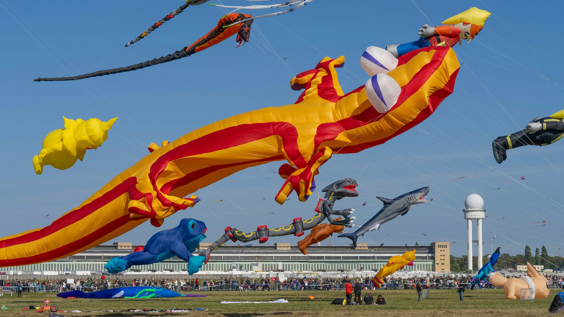 Es braucht schon einiges an Geschick, um so einen riesigen Salamander am Himmel vernünftig zu steuern.