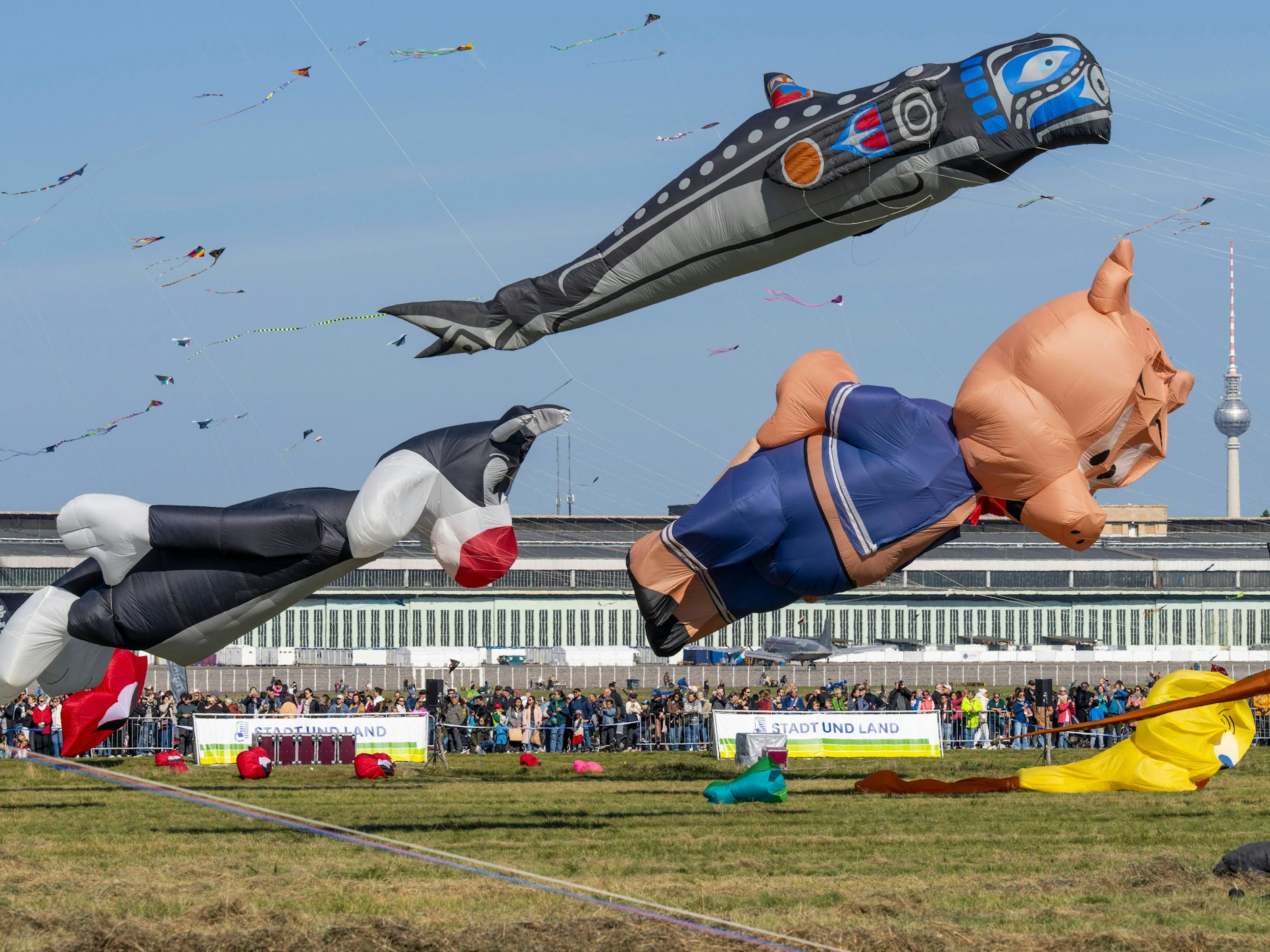 Ob Cartoonfigur oder Schweinchen: Beim Festival der Riesendrachen schweben allerlei bunte Figuren am Himmel.