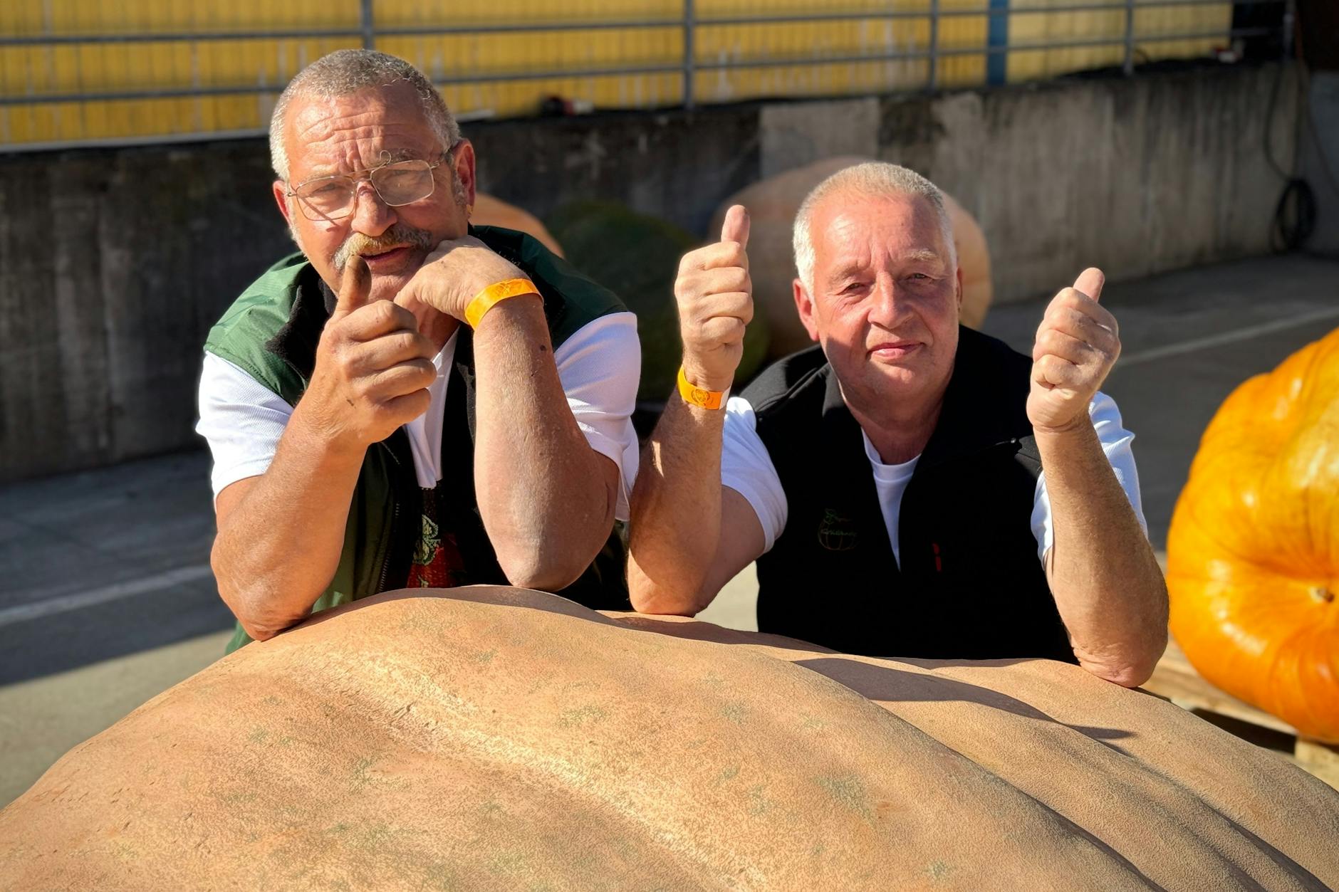 Michael Schade und Bernd Paul aus Beelitz haben den größten Kürbis von Brandenburg gezüchtet. Er bringt über 1000 Kilo auf die Waage.